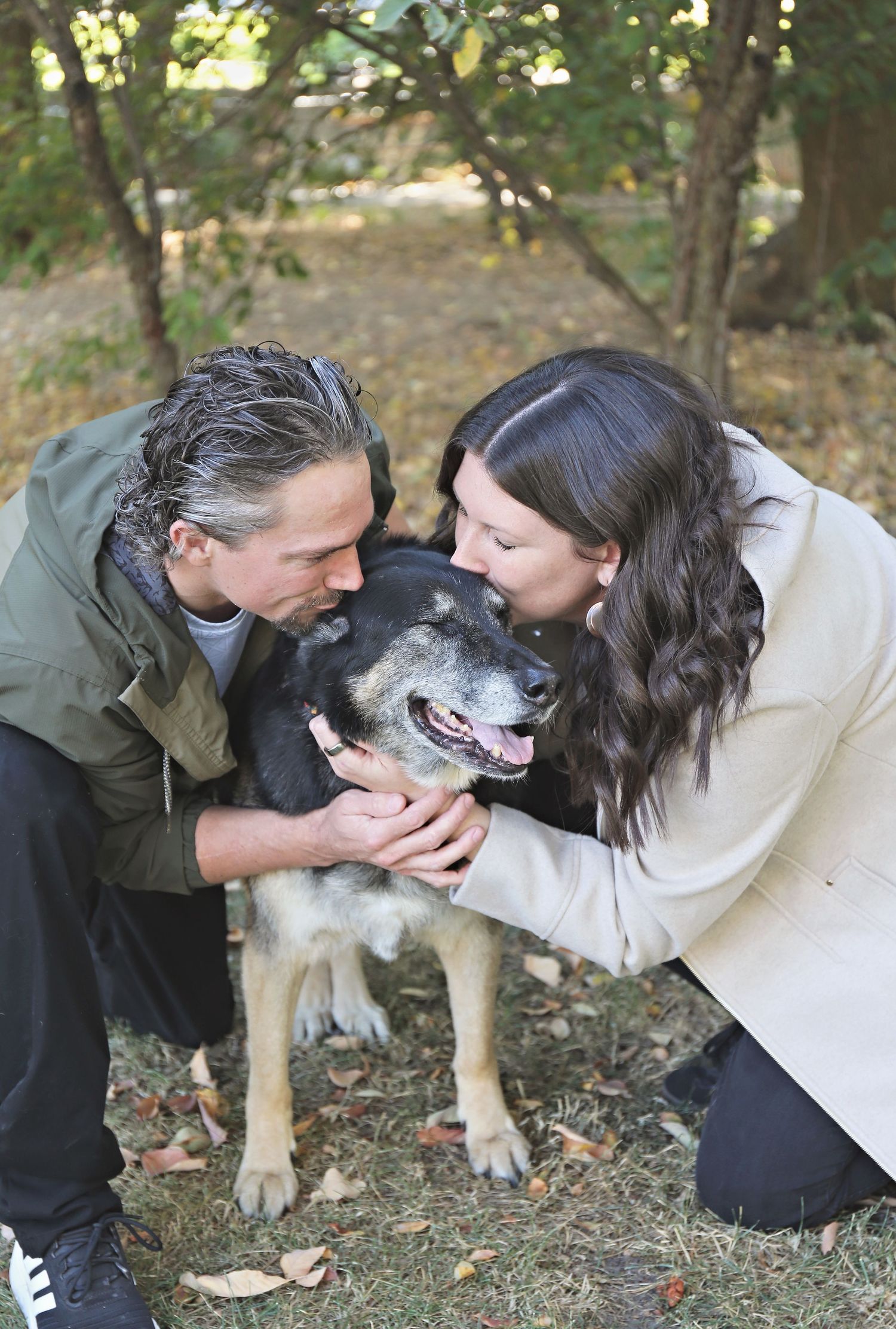 A German Shepherd mix dog receives loving attention while relaxing in a wooded outdoor setting.