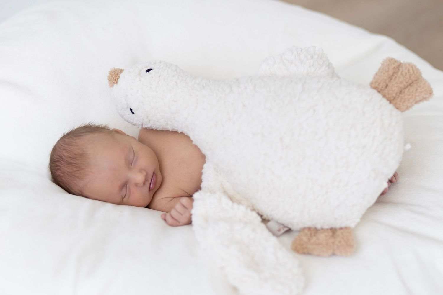 Sleeping newborn baby cuddling a white fluffy lamb stuffed animal toy on white bedding.