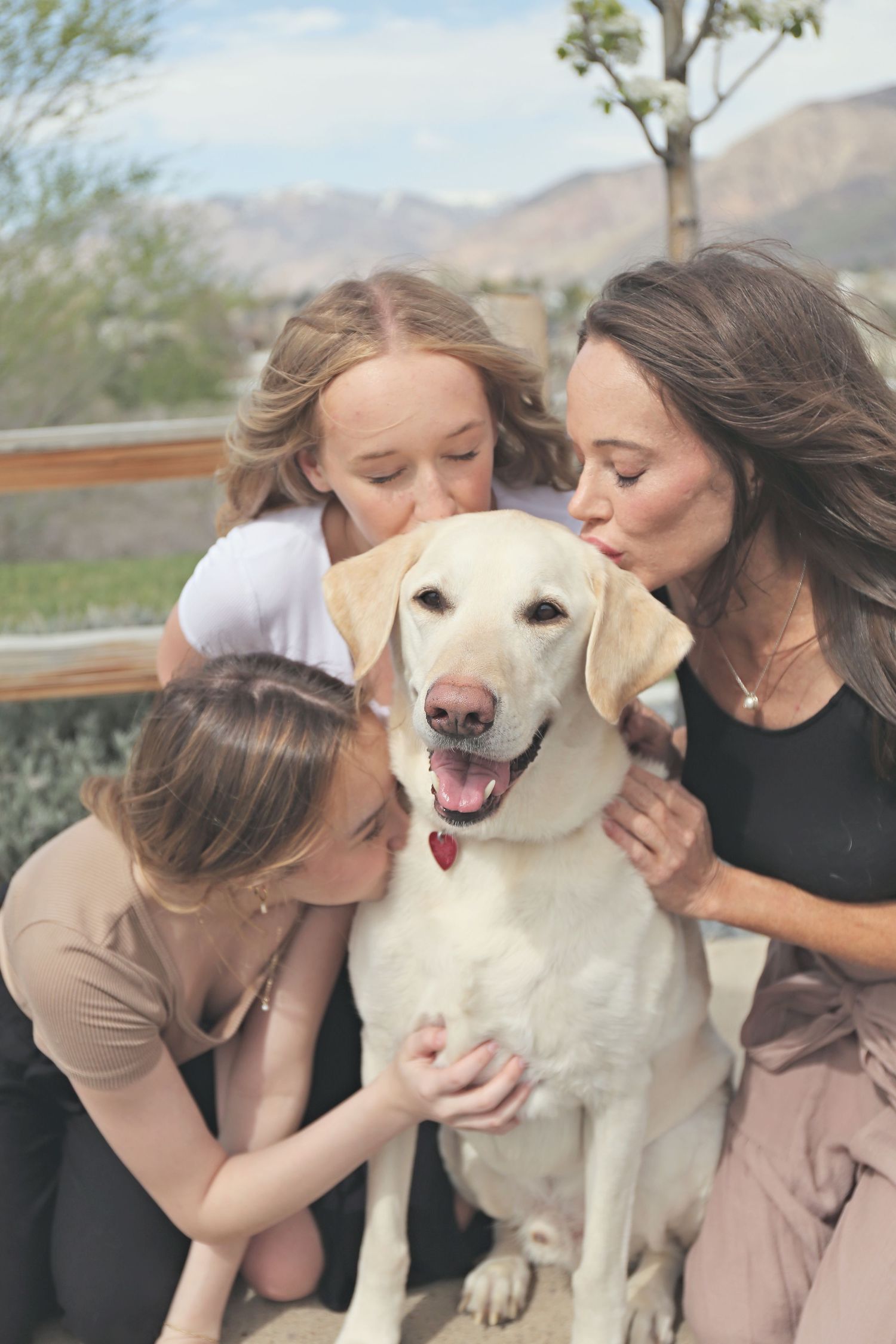 A happy white Labrador dog shares tender moments with people outdoors on a sunny day.