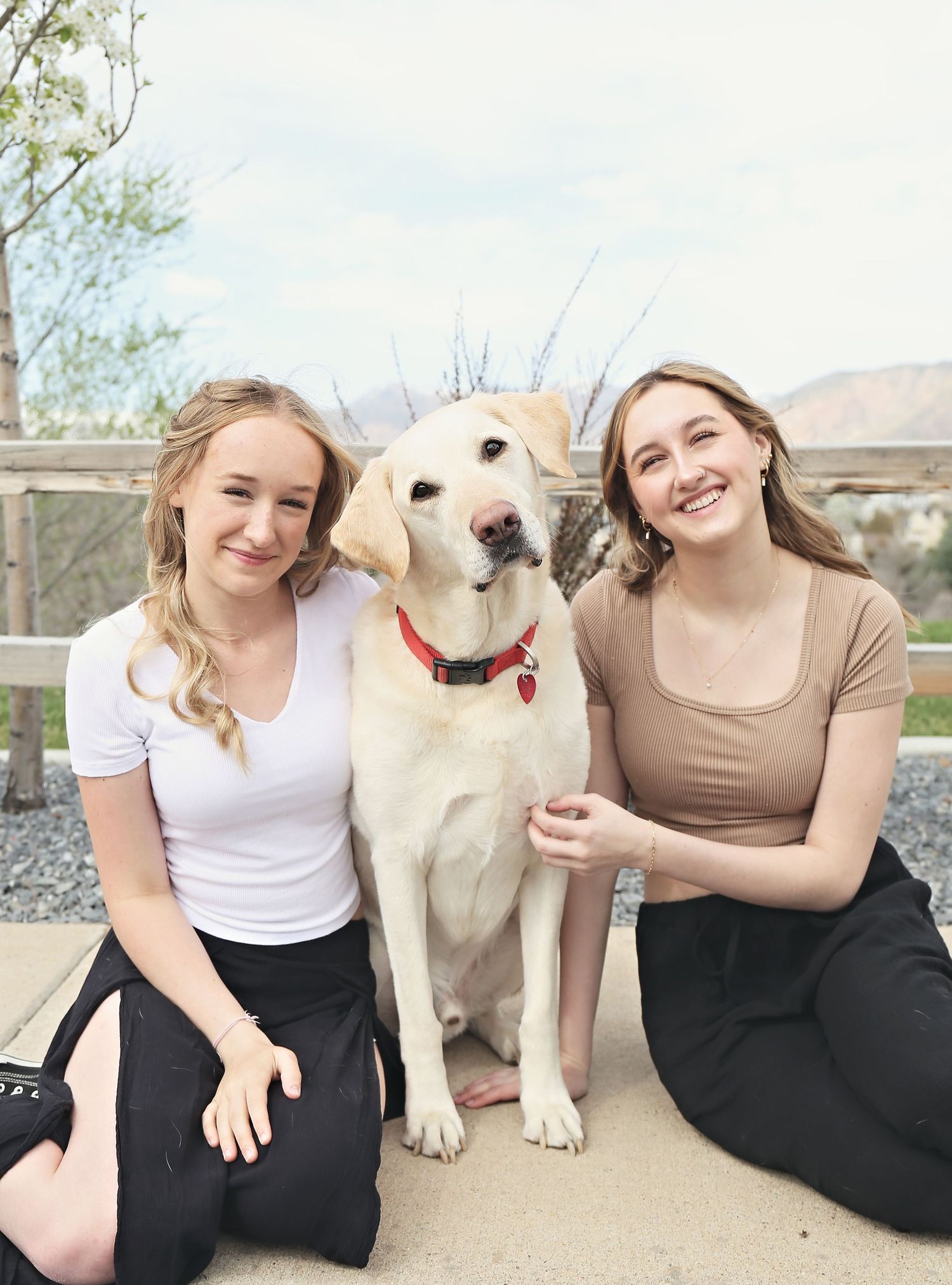 A cream-colored dog poses with companions on a sunny outdoor patio.