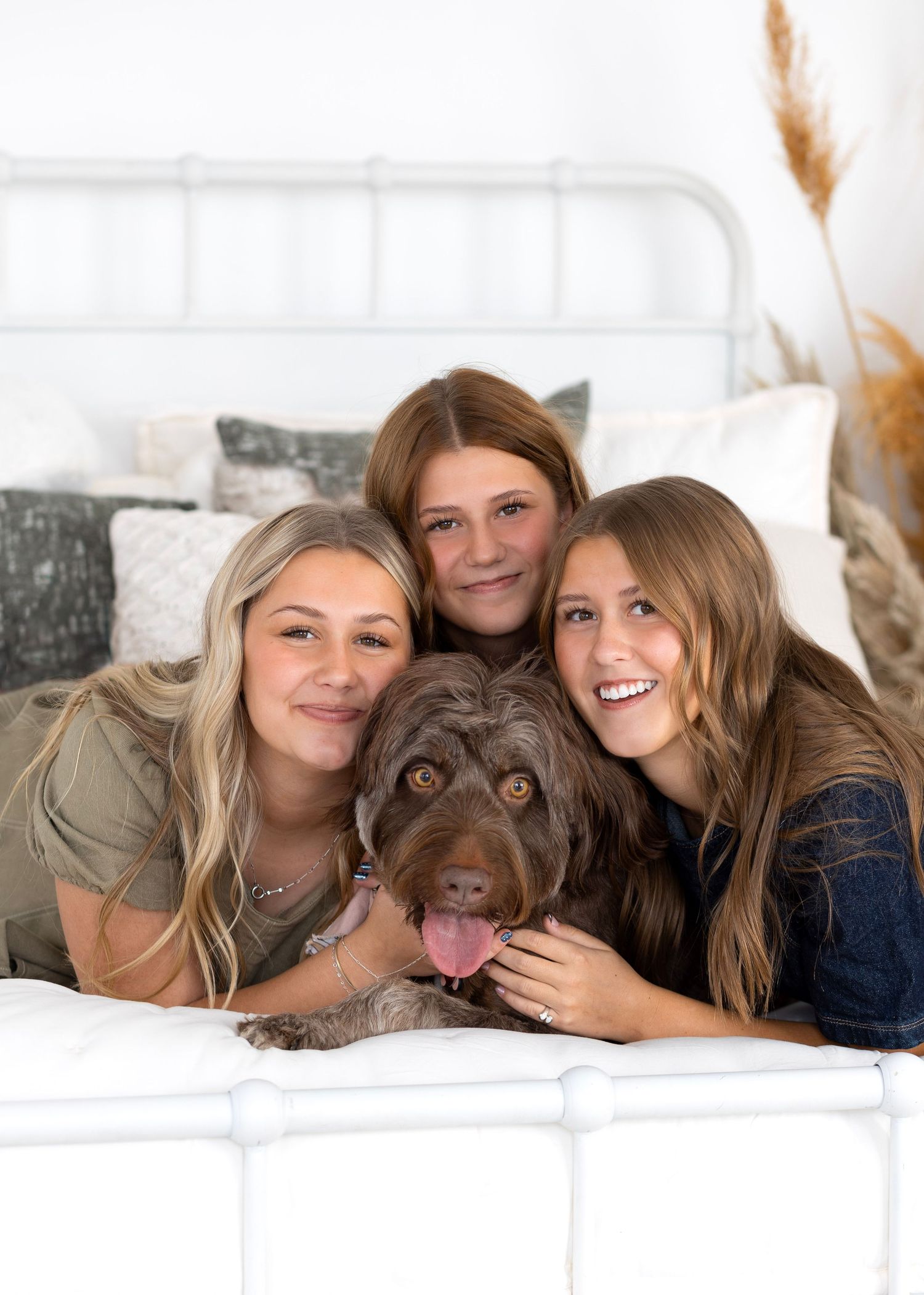 A chocolate lab lounges on a bed with companions during a casual indoor photo session.