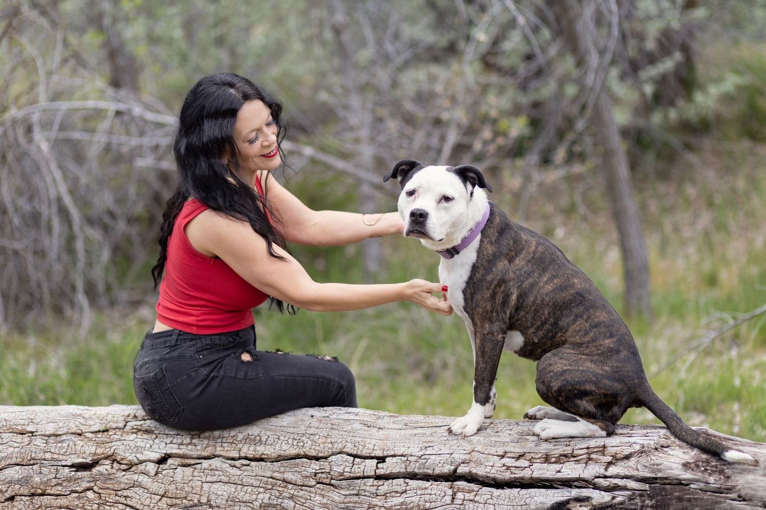 Woman in red top sits on log shaking paws with brindle and white pit bull dog in natural outdoor setting.