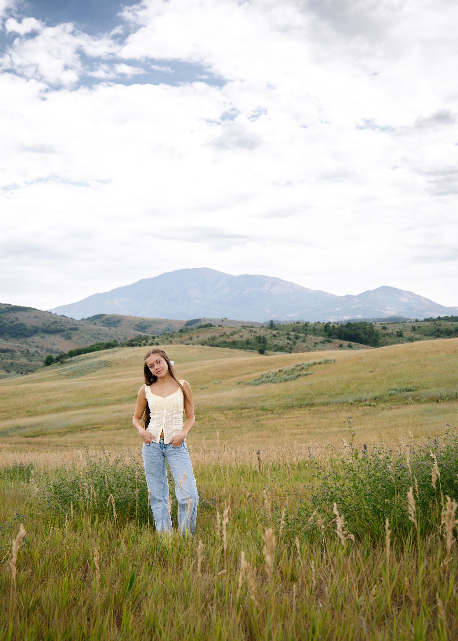 A scenic meadow landscape with rolling hills and tall grass under a cloudy sky.