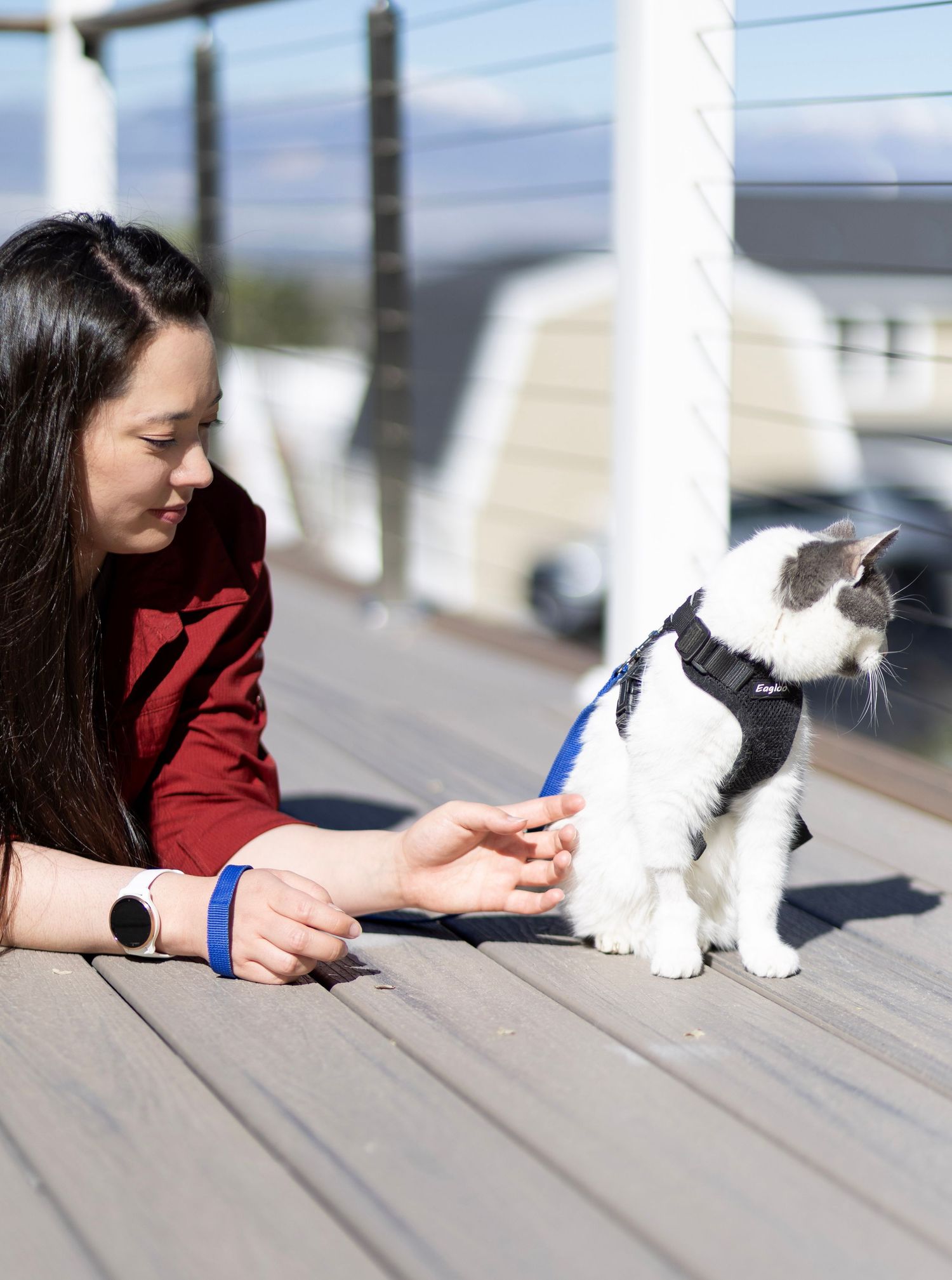 Young woman in red hoodie interacting with gray and white cat wearing blue harness on sunny deck.