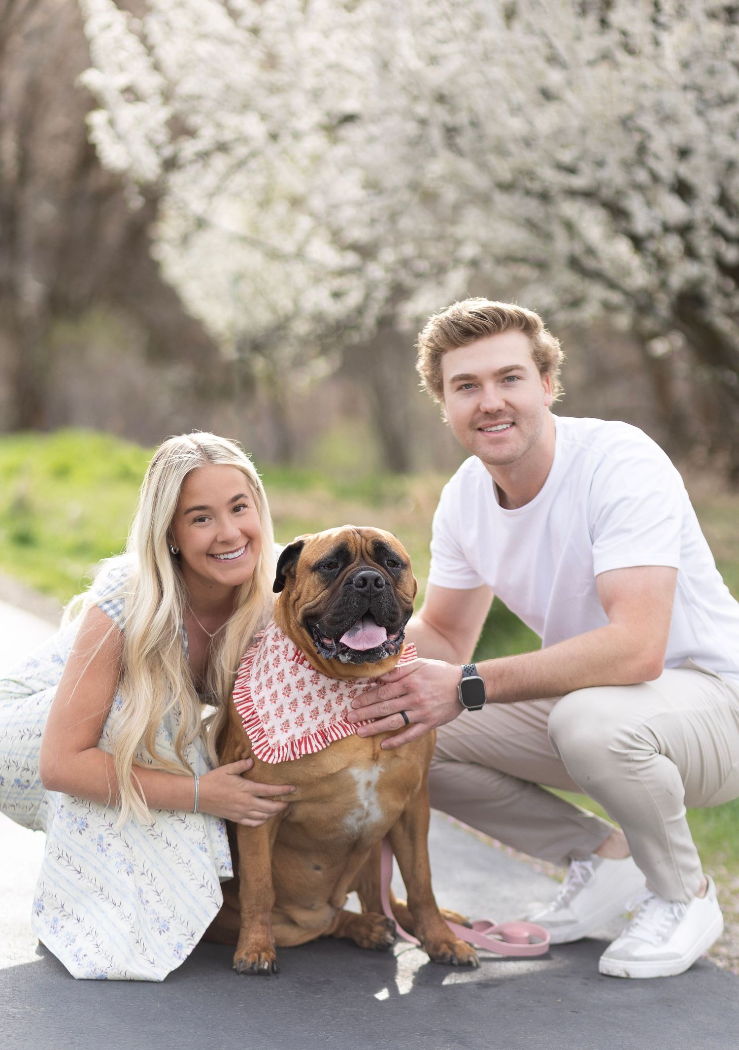 Smiling couple posing with their Bullmastiff dog wearing a pink bandana, surrounded by blooming white trees.