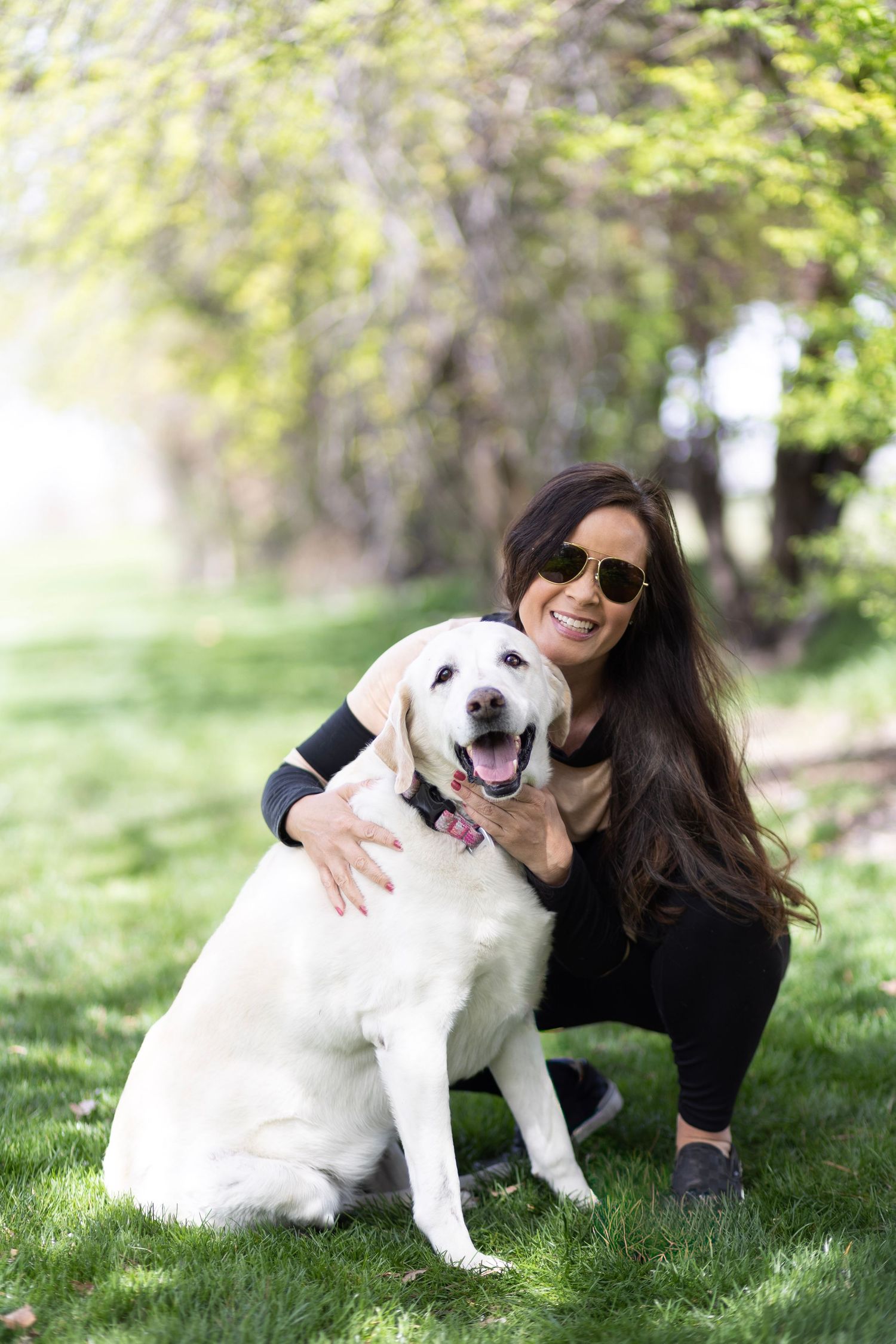 Woman with sunglasses hugging her white Labrador Retriever on green grass in a sunny park.