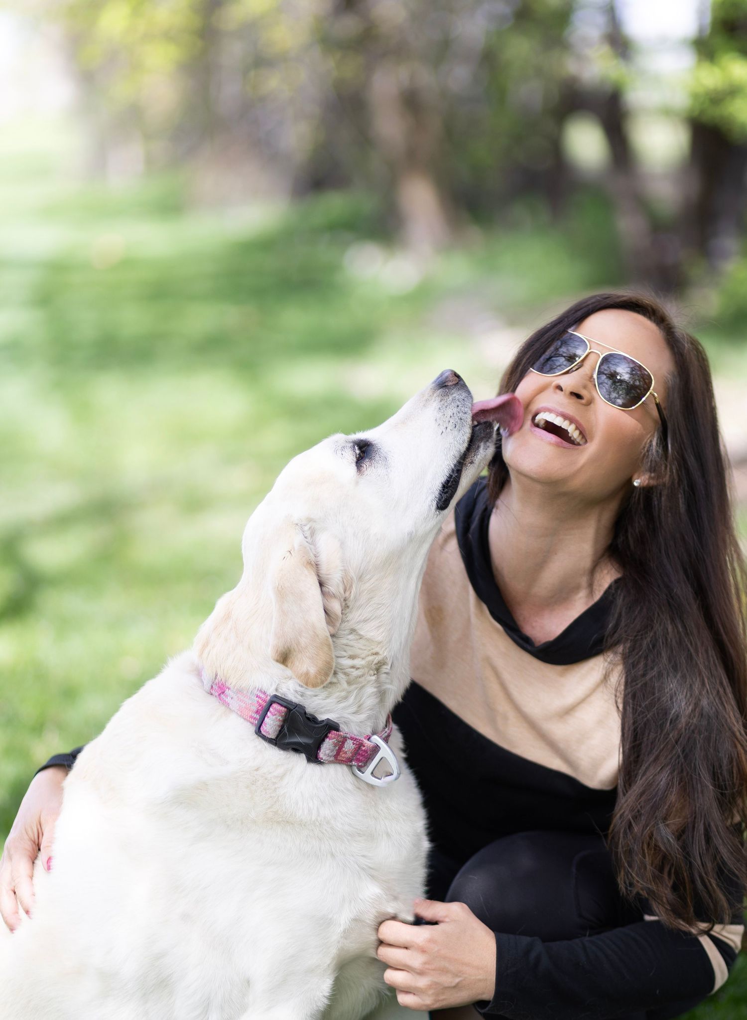 Laughing woman in sunglasses enjoys a playful moment as her white Labrador Retriever puppy licks her face outdoors.