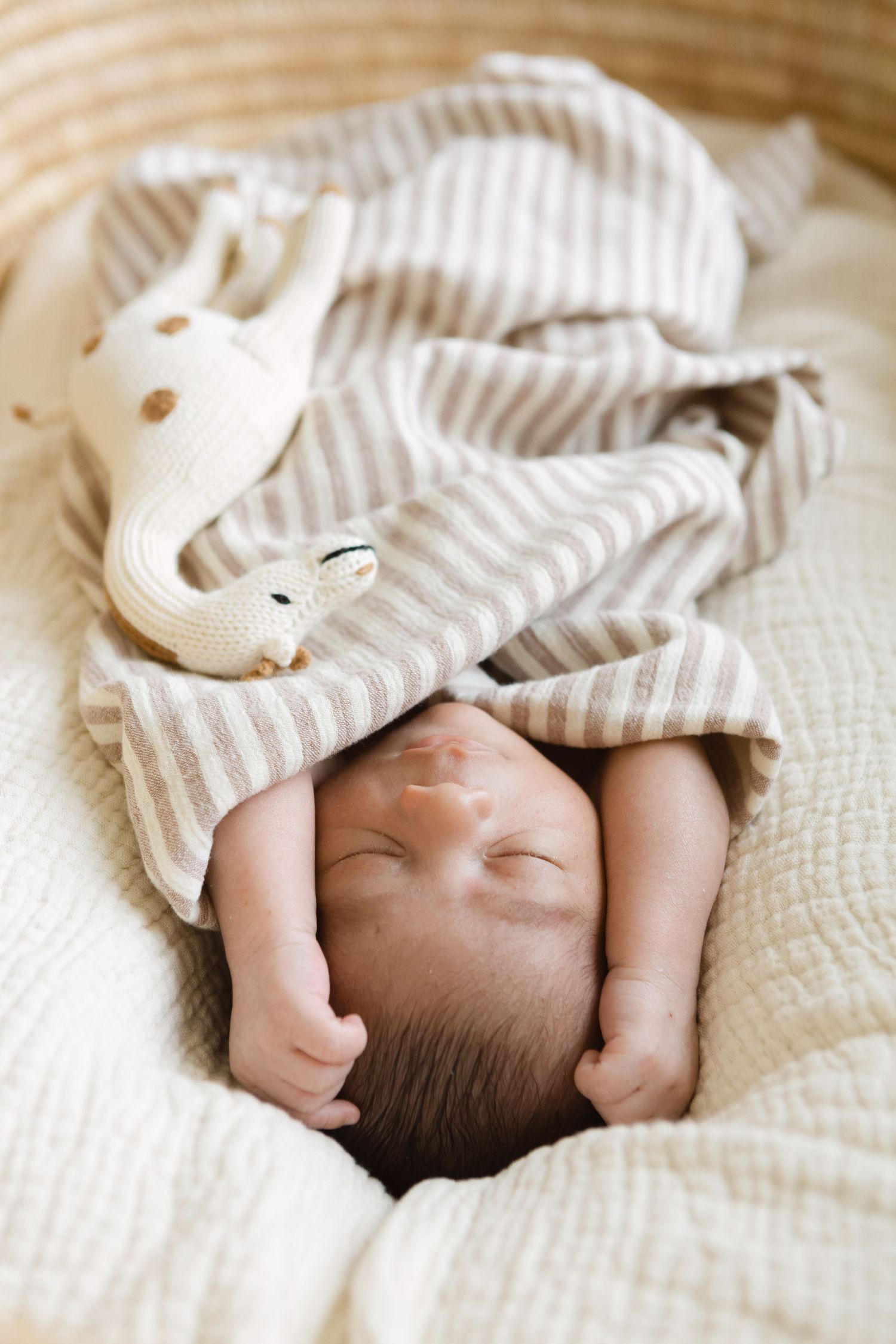 Detail of newborn boy sleeping, NYC newborn photography by Paula Brearley NYC newborn photographer