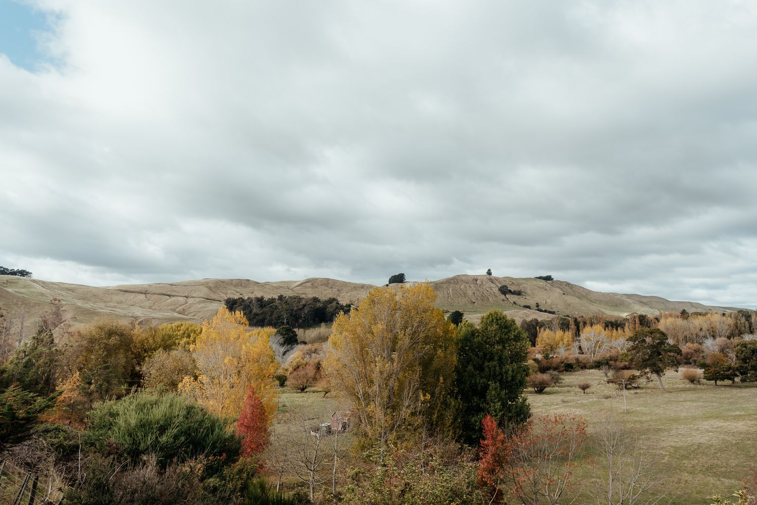 A scenic panoramic view of rolling hills and autumn foliage under cloudy skies in a rural landscape by August and Vine