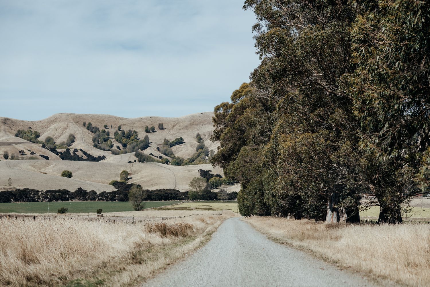 A winding dirt road leads through golden grasslands toward rolling hills beneath a cloudy sky at Whitimanuka by August and Vine