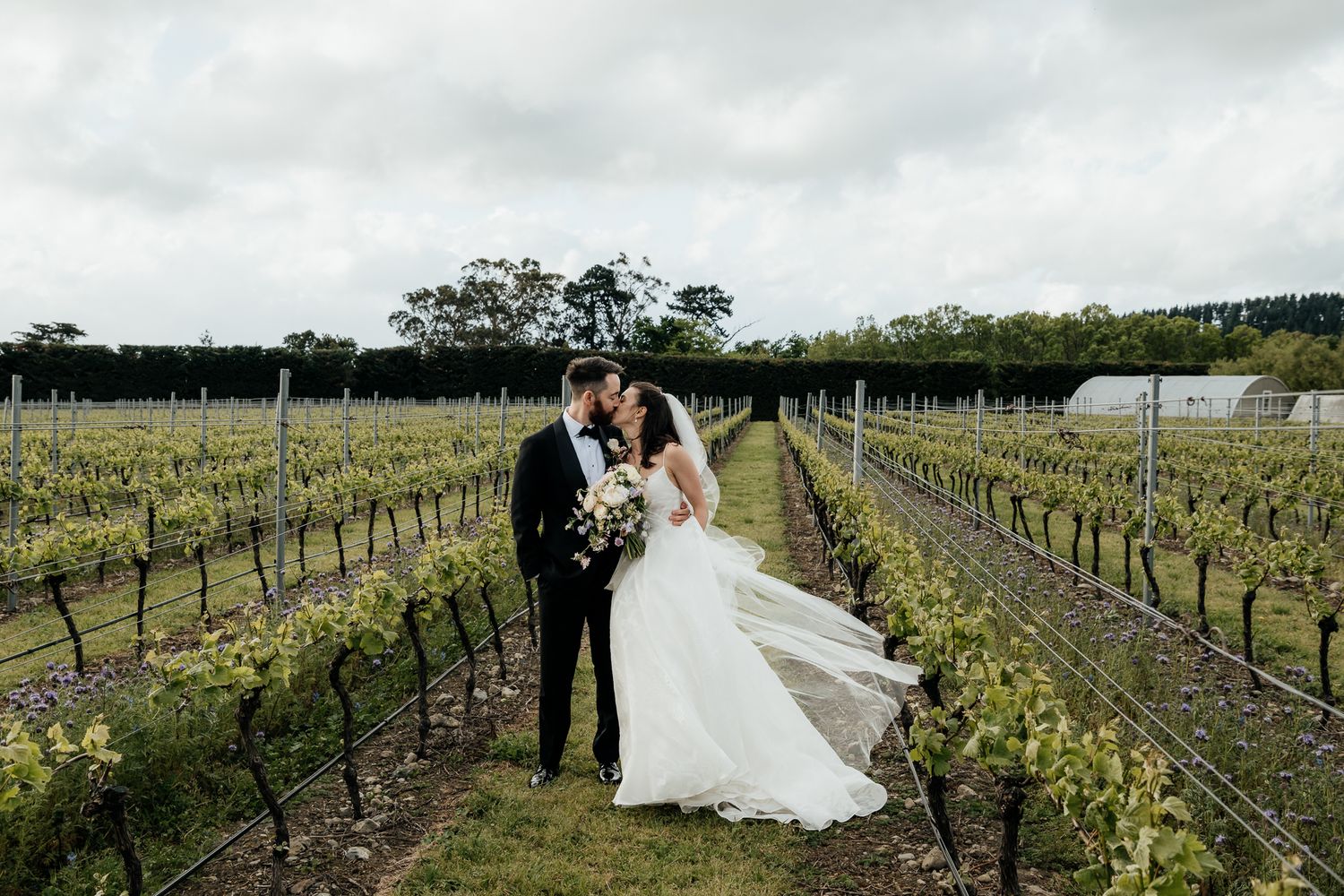 A romantic wedding couple stand between rows of grapevines at The Runholder as the bride's dress flows in the wind by August and Vine