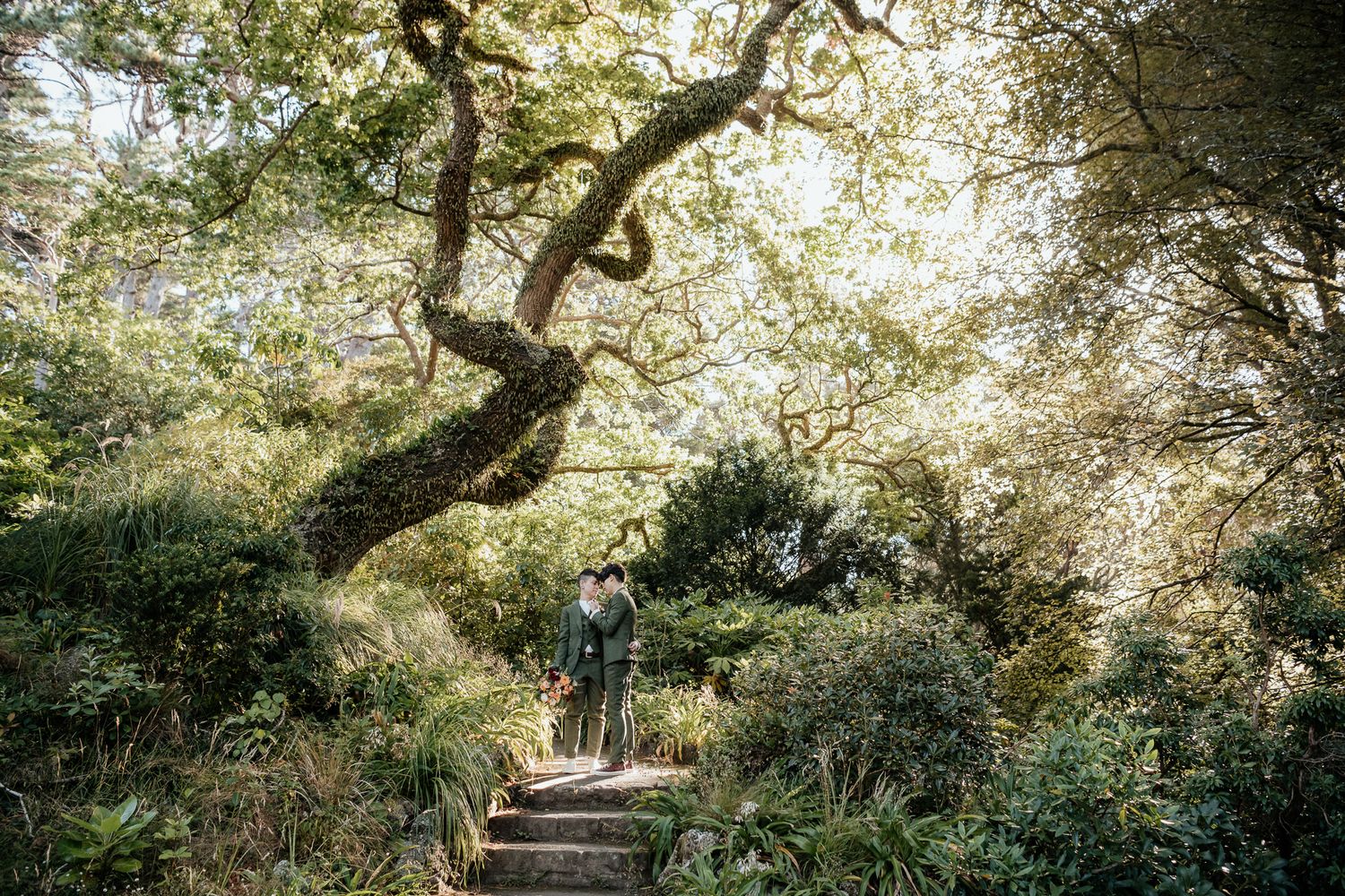 A tranquil pathway through sunlit trees creates a peaceful corridor where a couple stand in Wellington Botanic Gardens by August and Vine