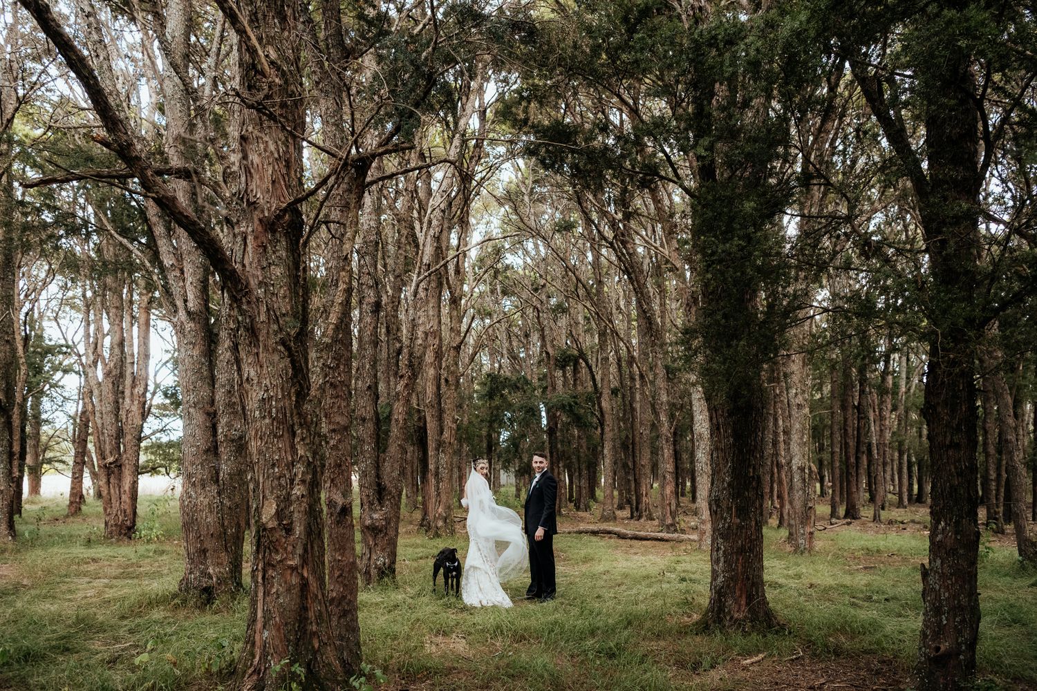 Bride and Groom and their dog stand under a forest canopy in Wairarapa captured by August and Vine
