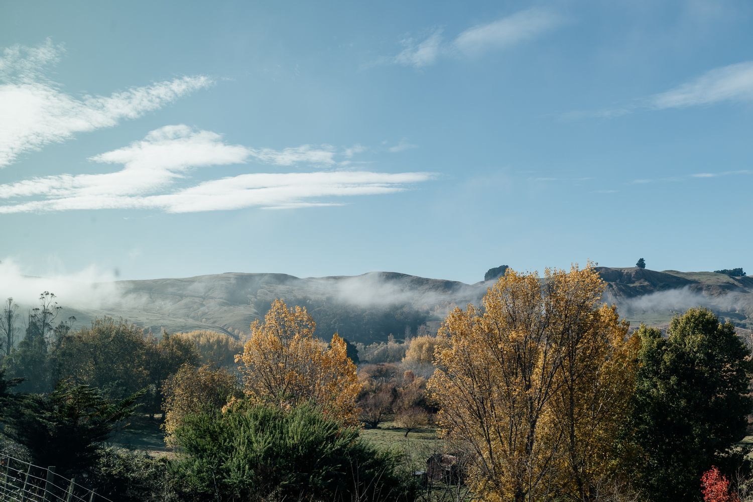 A panoramic country landscape with autumn trees and dramatic cloudy skies stretching across the horizon at The Runholder by August and Vine