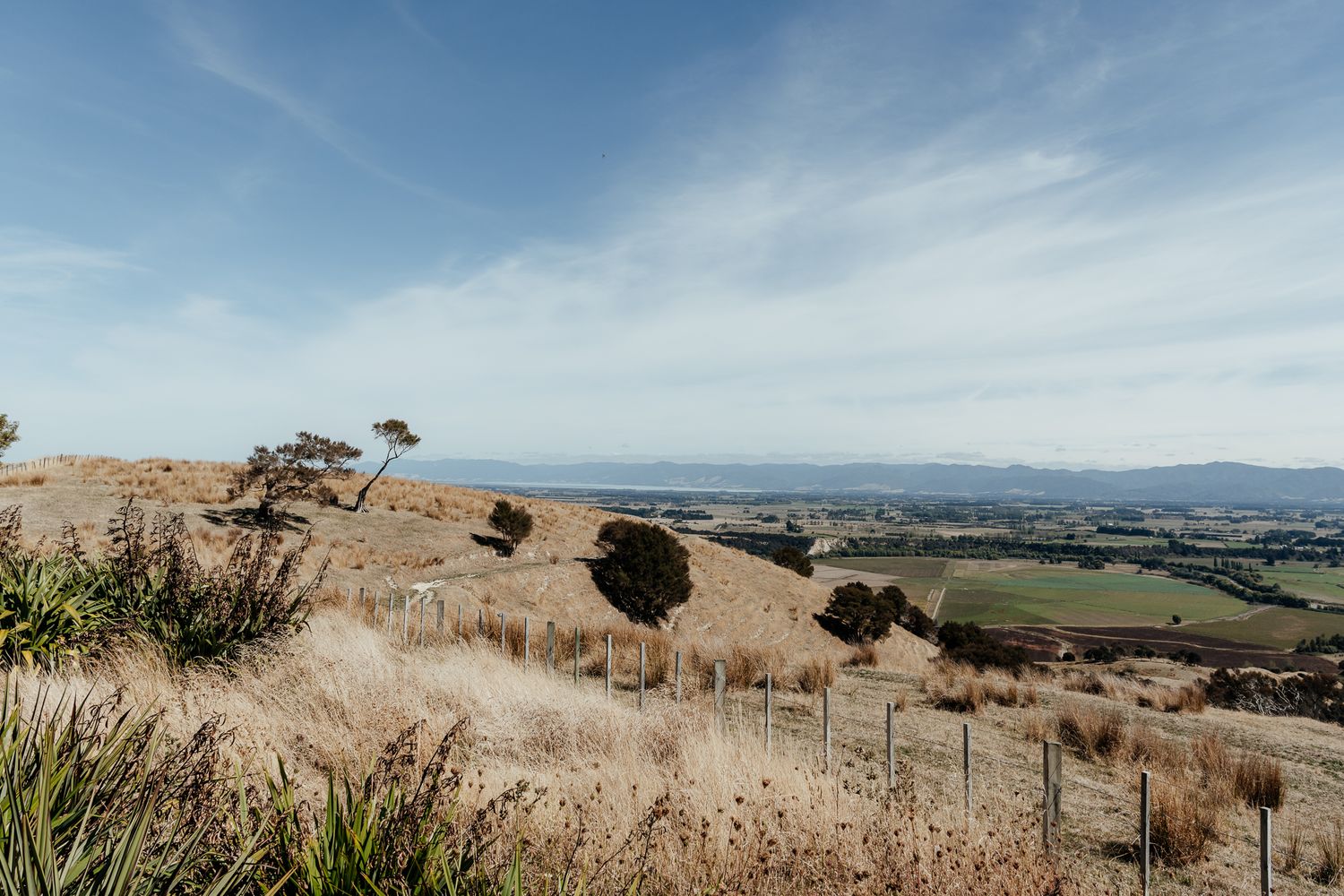 Rolling golden hills overlook a rural valley landscape under blue skies and sparse trees at Whitimanuka by August and Vine