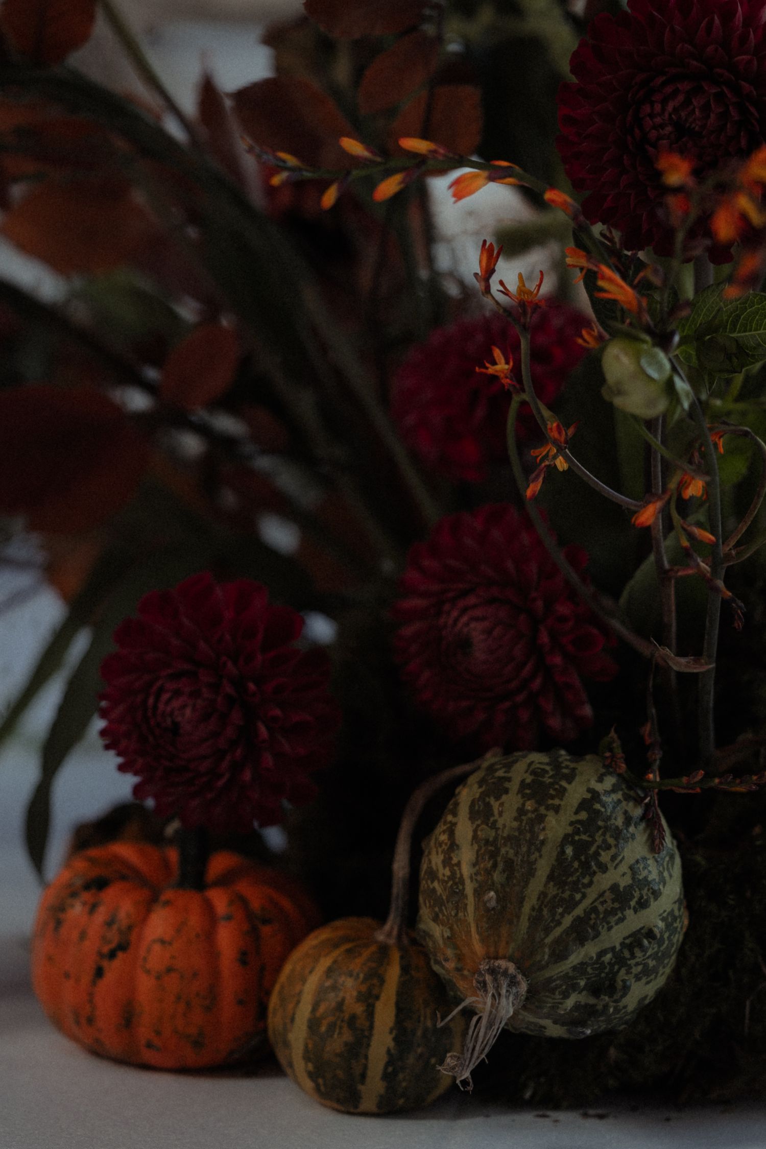 Dark burgundy dahlias arranged with small orange pumpkins and gourds create a moody autumn centerpiece display.