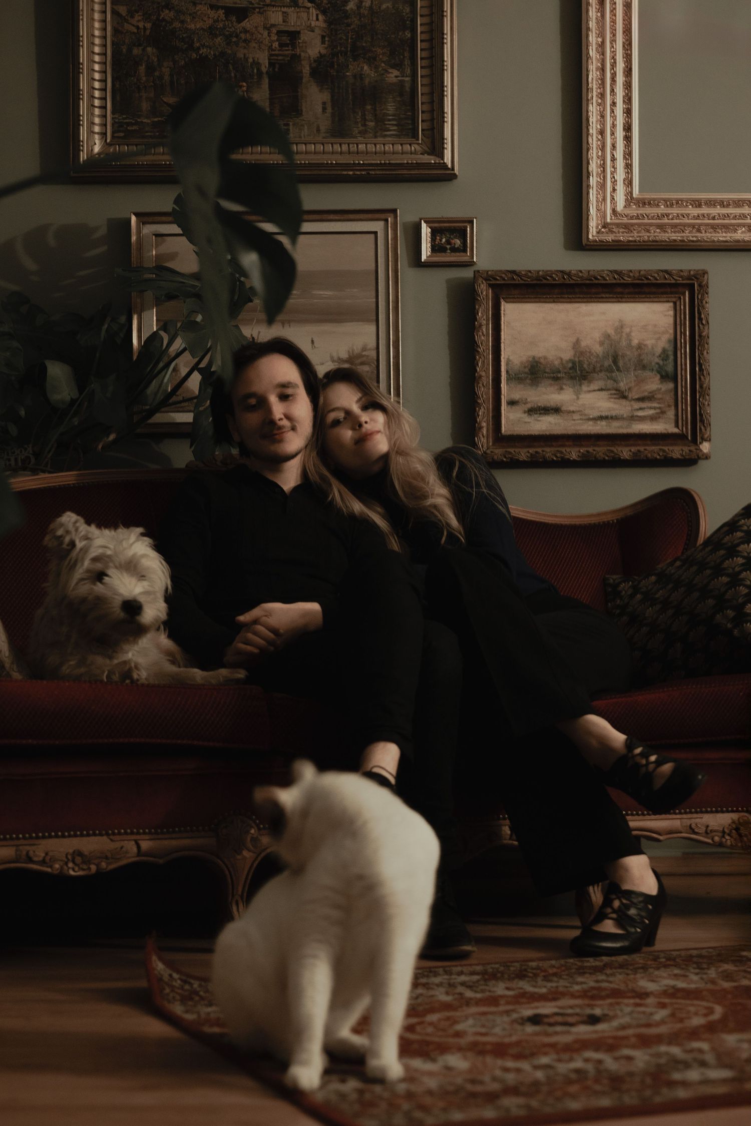 A cozy vintage living room scene with two pets and people relaxing on a red sofa beneath framed artwork.