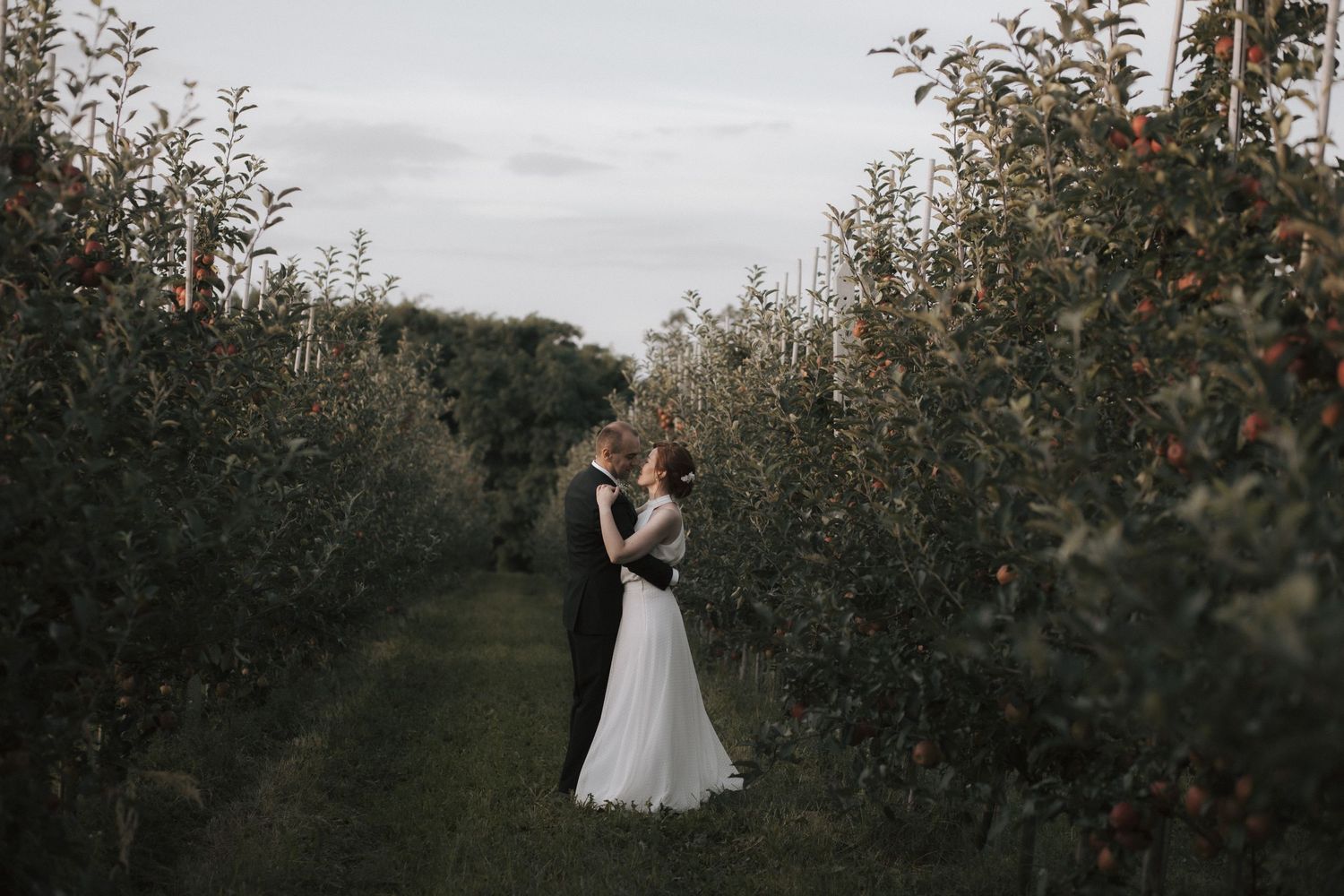A romantic embrace between a couple in white wedding attire standing in an apple orchard at dusk.