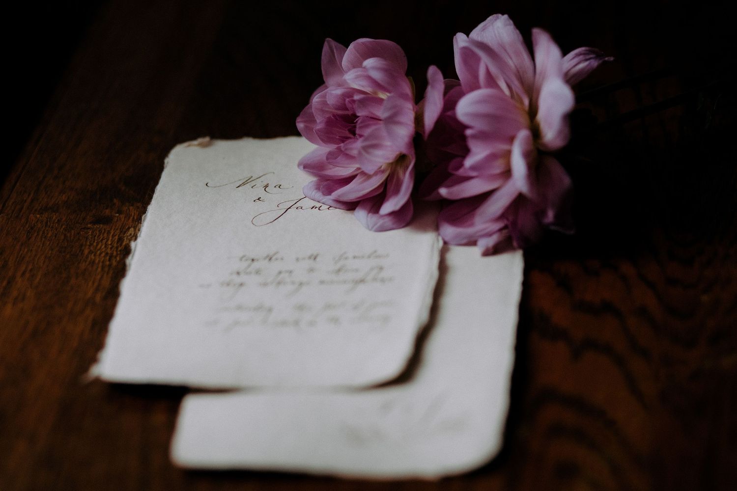 Pink roses rest beside vintage handwritten letters on a dark wooden surface, creating a romantic still life composition.