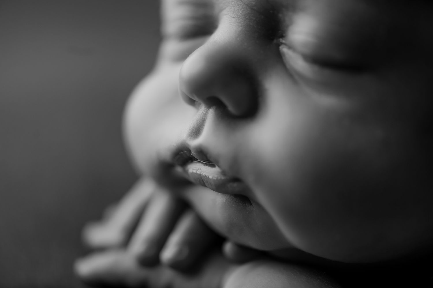 Close-up black and white portrait of a sleeping newborn baby with delicate features resting on gentle hands.