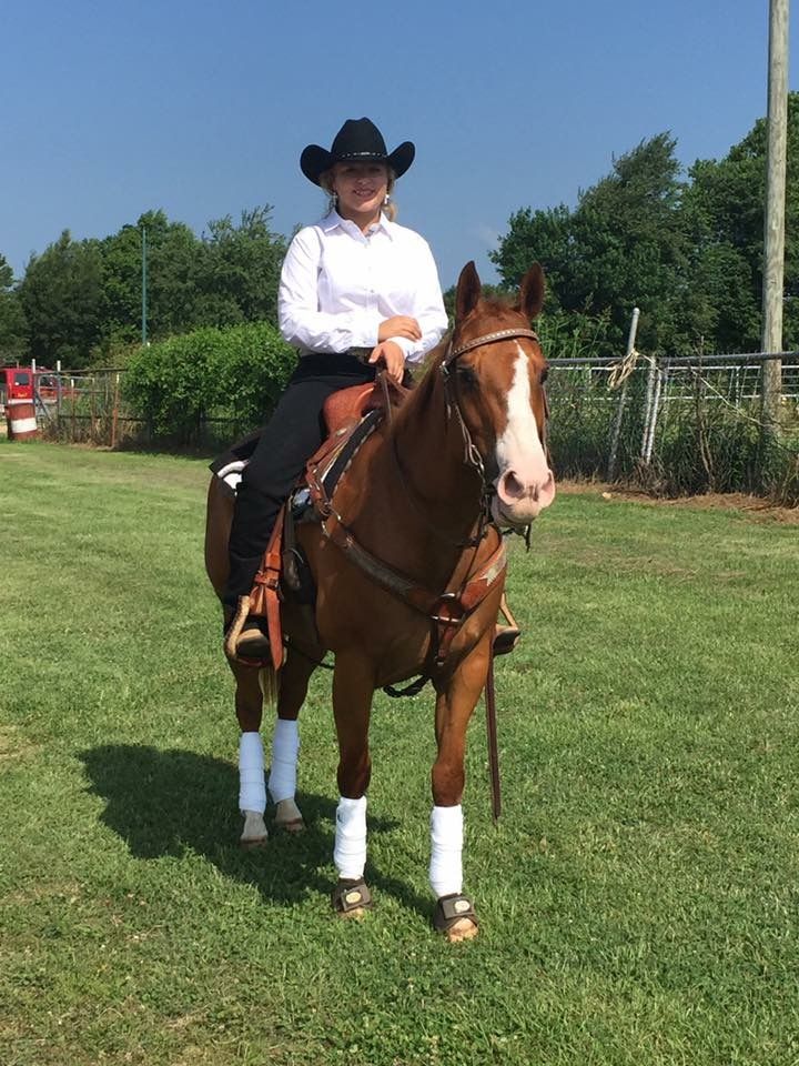 A rider in western attire sits atop a chestnut horse with white leg wraps in a grassy outdoor setting.