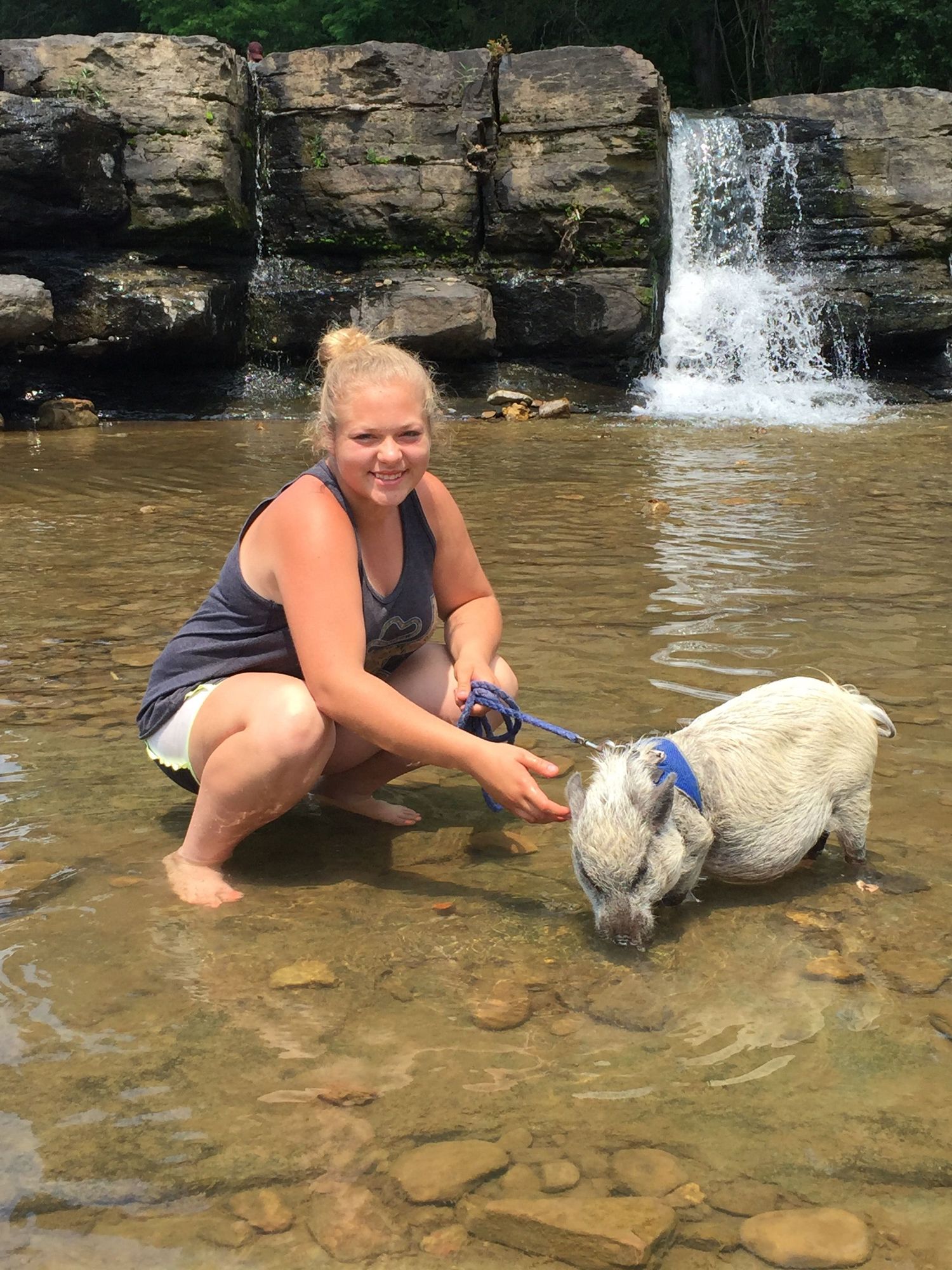 Someone with their dog enjoying a scenic waterfall at a rocky creek with crystal clear water and layered stone formations.