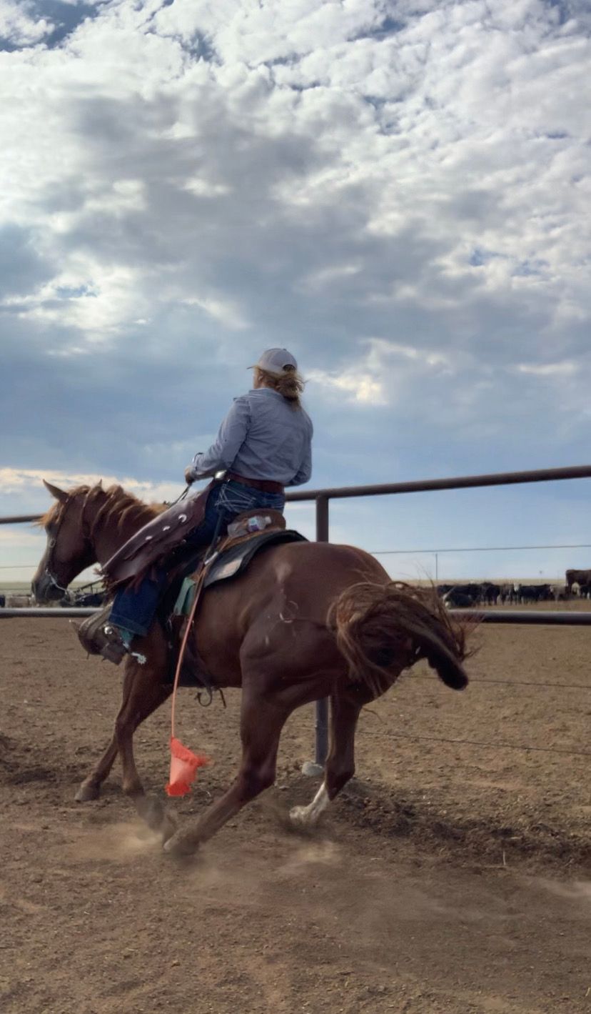 Rider on a brown horse kicking up dust in a dirt arena under cloudy skies with arena fencing visible.