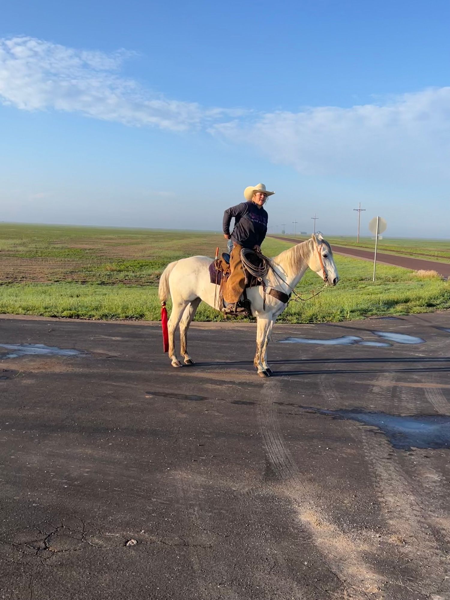A rider on a light-colored horse stands on a dirt road with green fields and blue sky in the background.