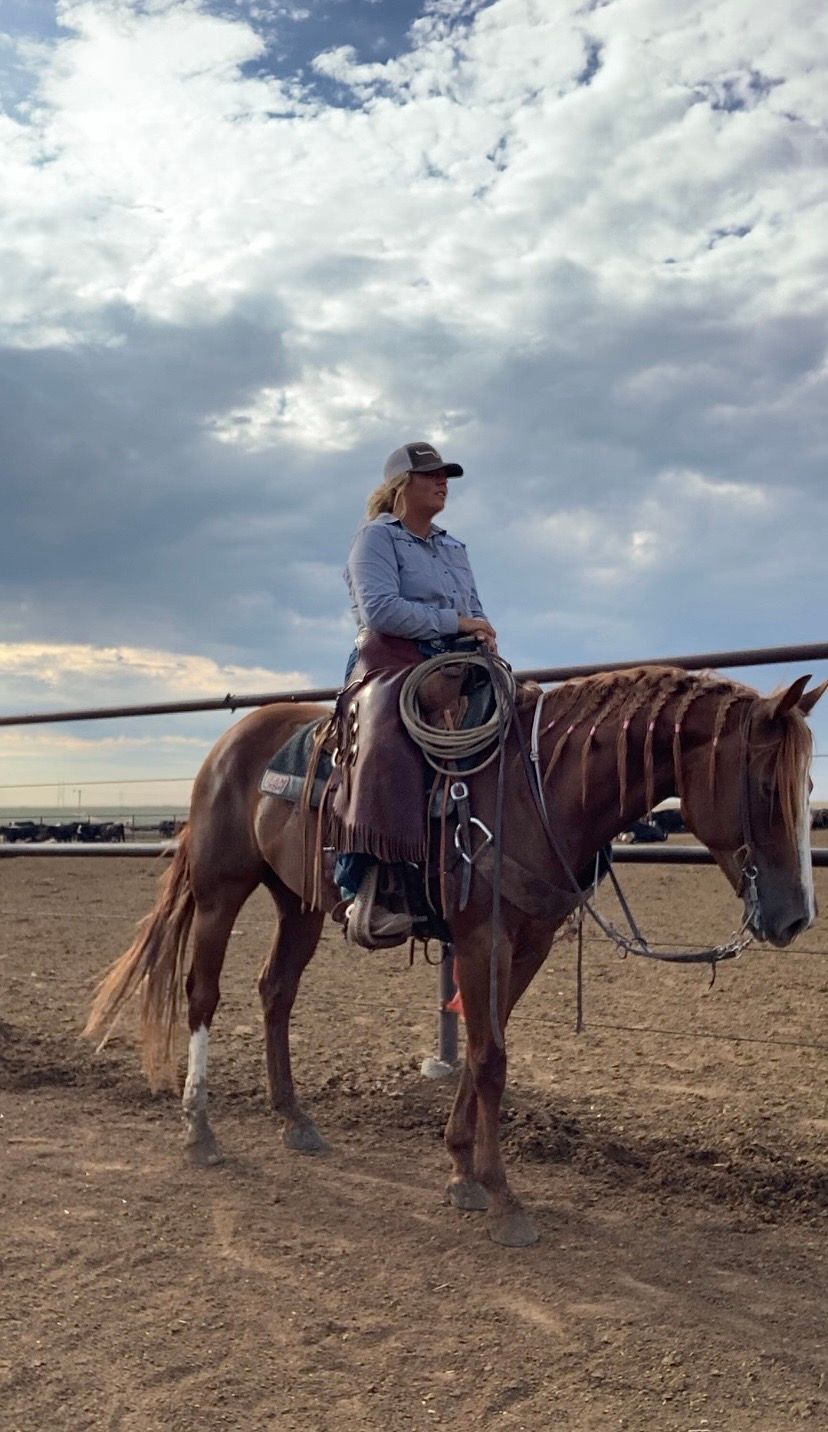 A rider on horseback sits against a dramatic cloudy sky at a dusty ranch or arena during golden hour.