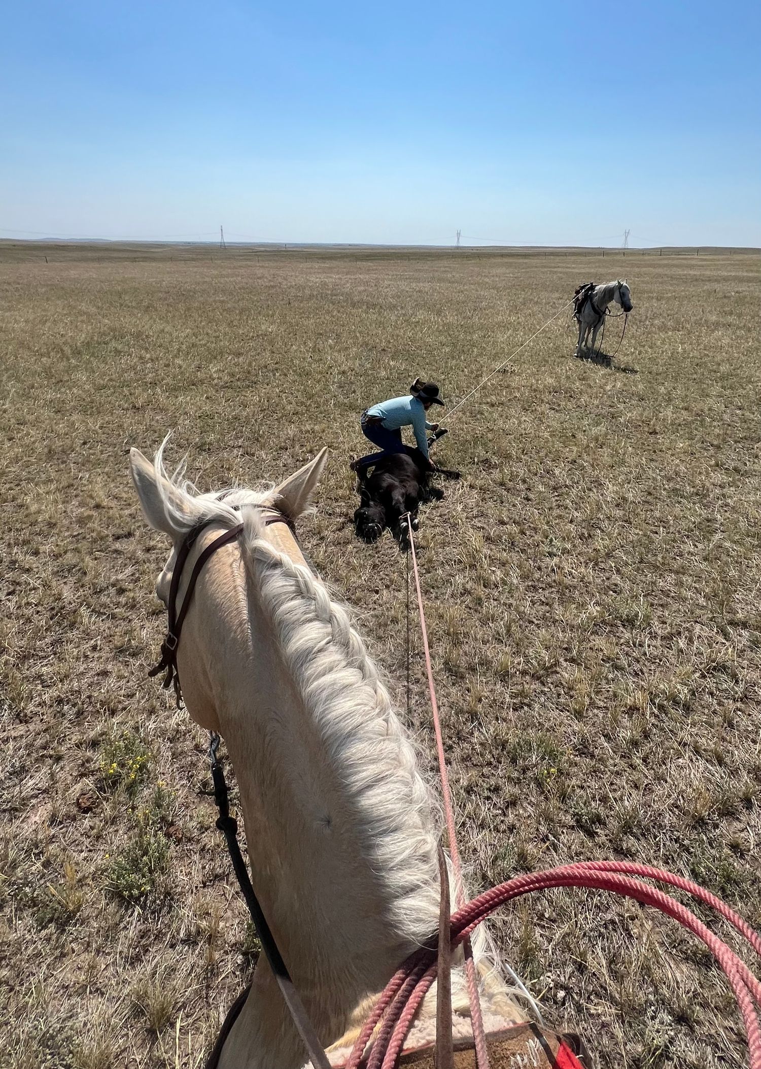 Point of view shot from horseback showing riders traversing a flat, dry prairie landscape under clear blue skies.