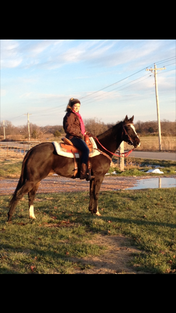 A rider sits atop a dark brown horse in an open field on a sunny winter day with utility poles in the background.