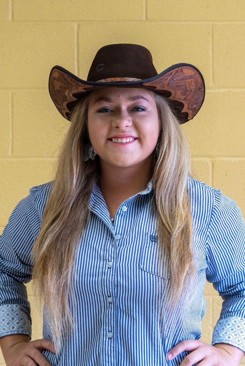 A western-style portrait against a yellow wall featuring a brown cowboy hat and blue striped button-up shirt.
