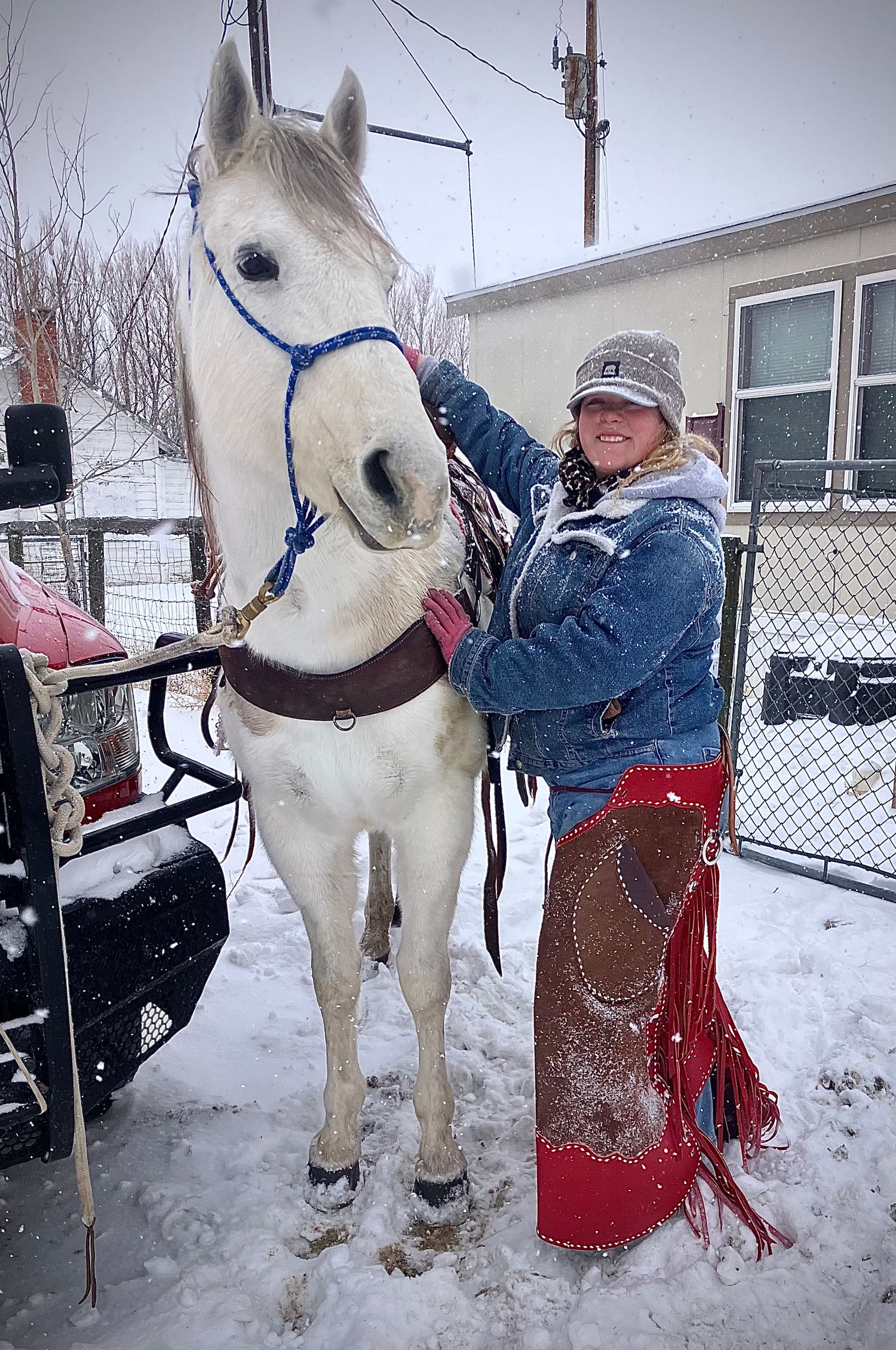 A white horse wearing a blue halter stands in snowy winter weather with winter gear and equipment visible.