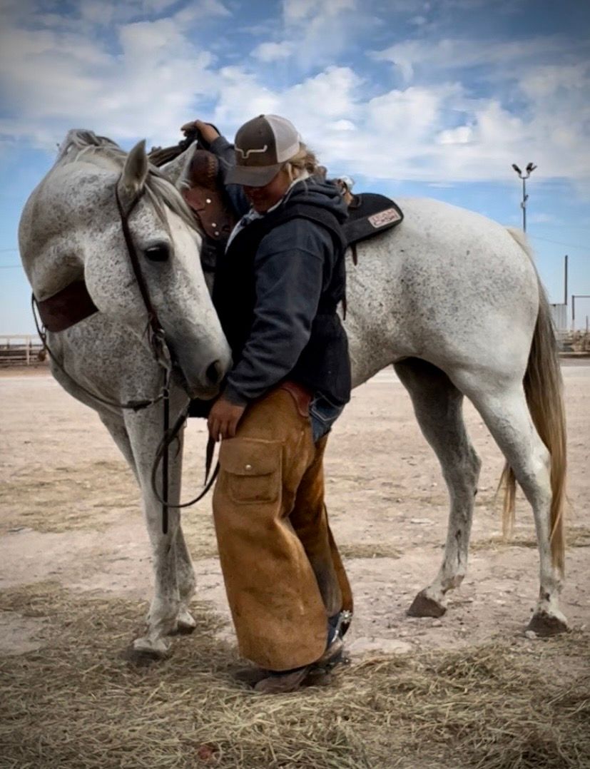 A person wearing a brown jacket and baseball cap tends to a saddled white horse on a dusty ranch.