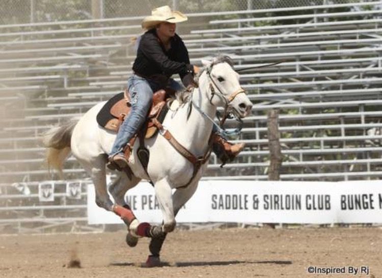 A rider in denim and cowboy hat steers a white horse around rodeo arena bleachers during a competition.