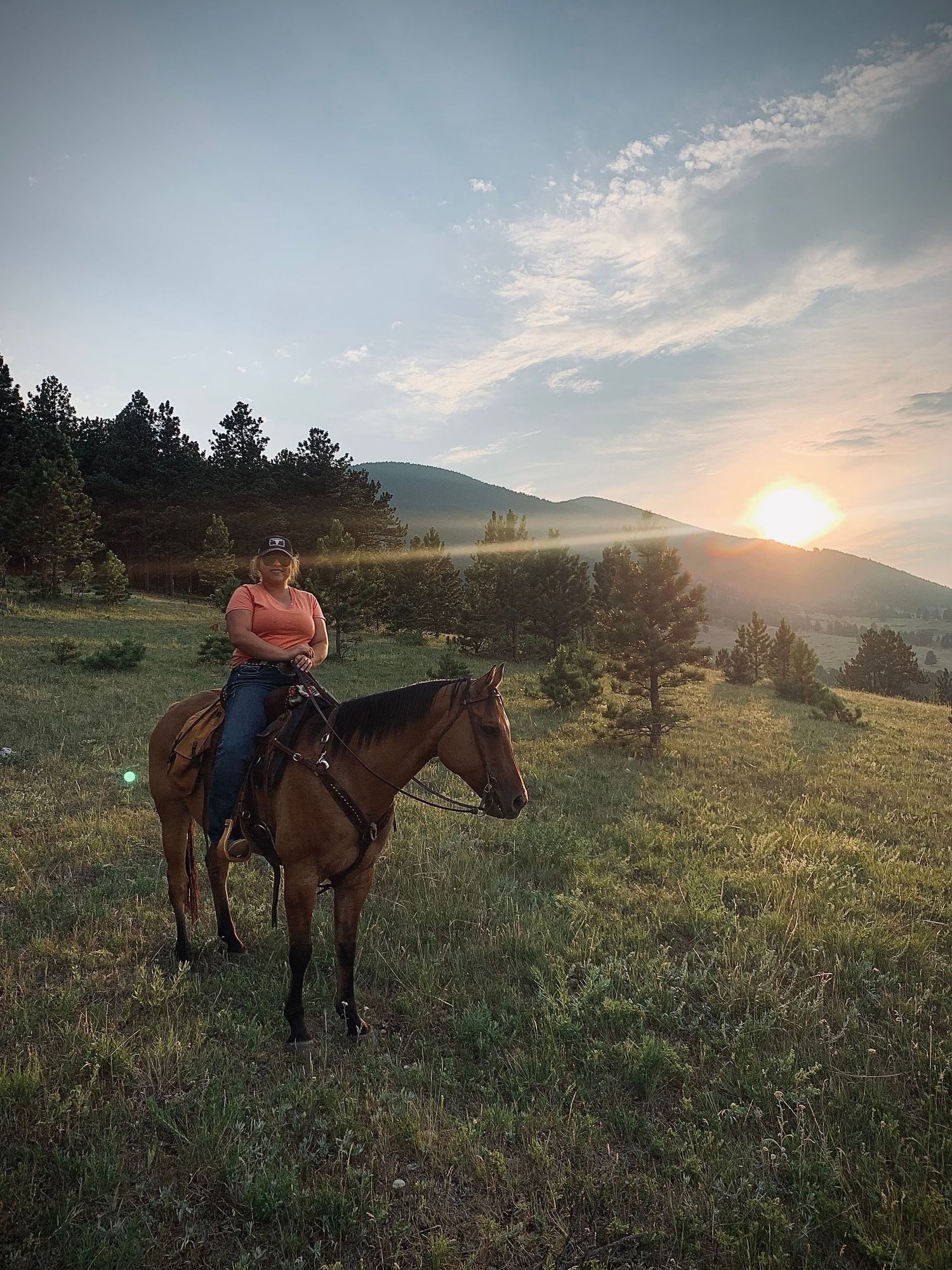 A horse and rider traverse a grassy hillside meadow at sunset with mountains and evergreen trees in the background.