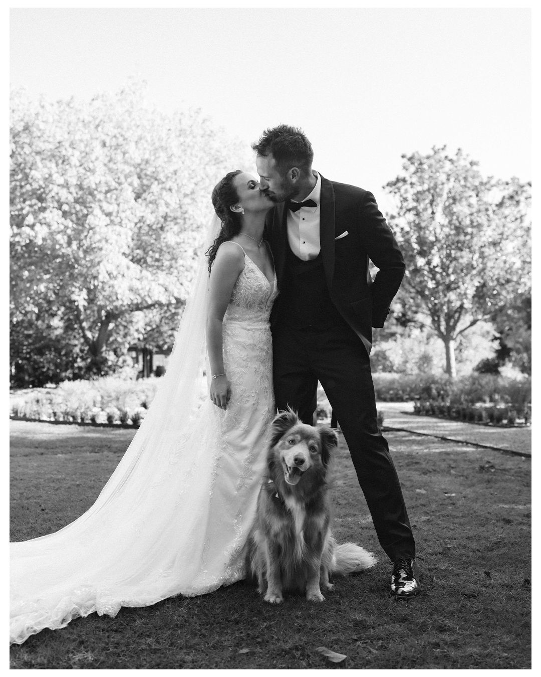 A couple in wedding attire poses outdoors with their Australian Shepherd dog in a scenic garden setting.
