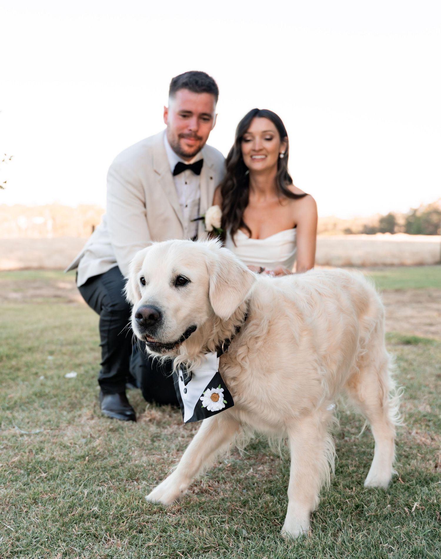 A couple and their golden retriever dog pose together on grassy field during sunset photo session.
