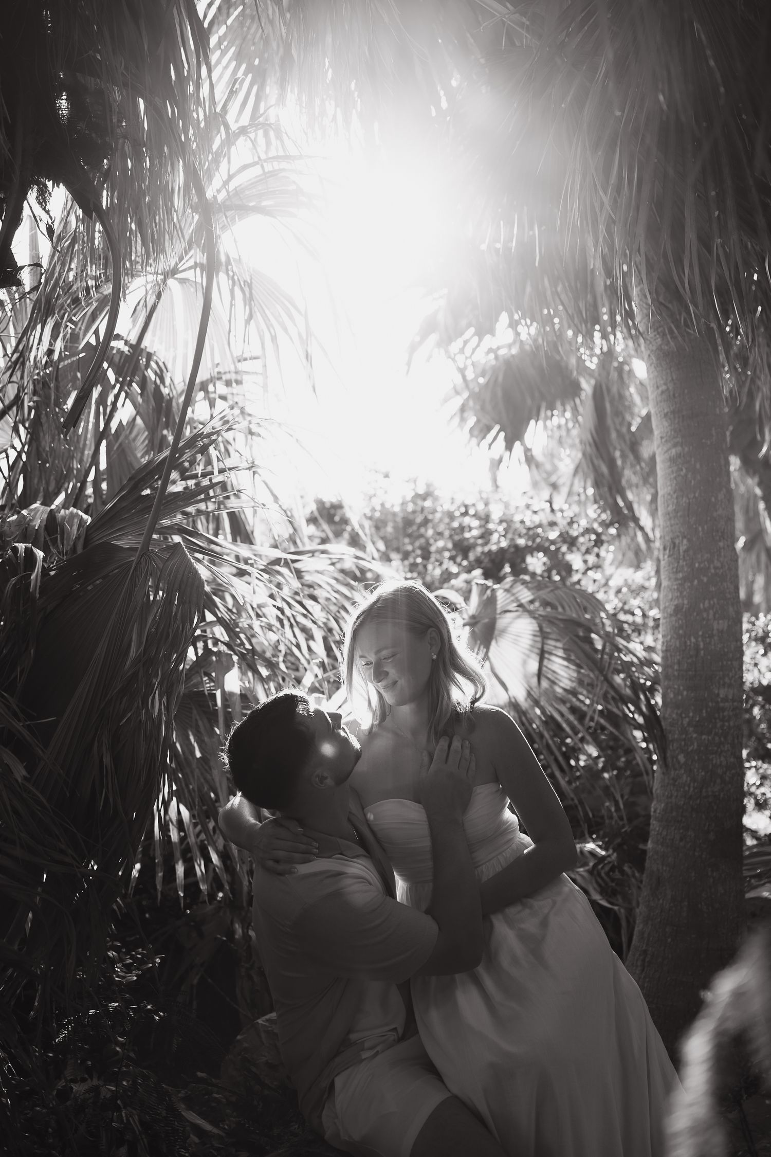A series of black and white photographs showing silhouettes through palm fronds with dramatic sunlight filtering through.