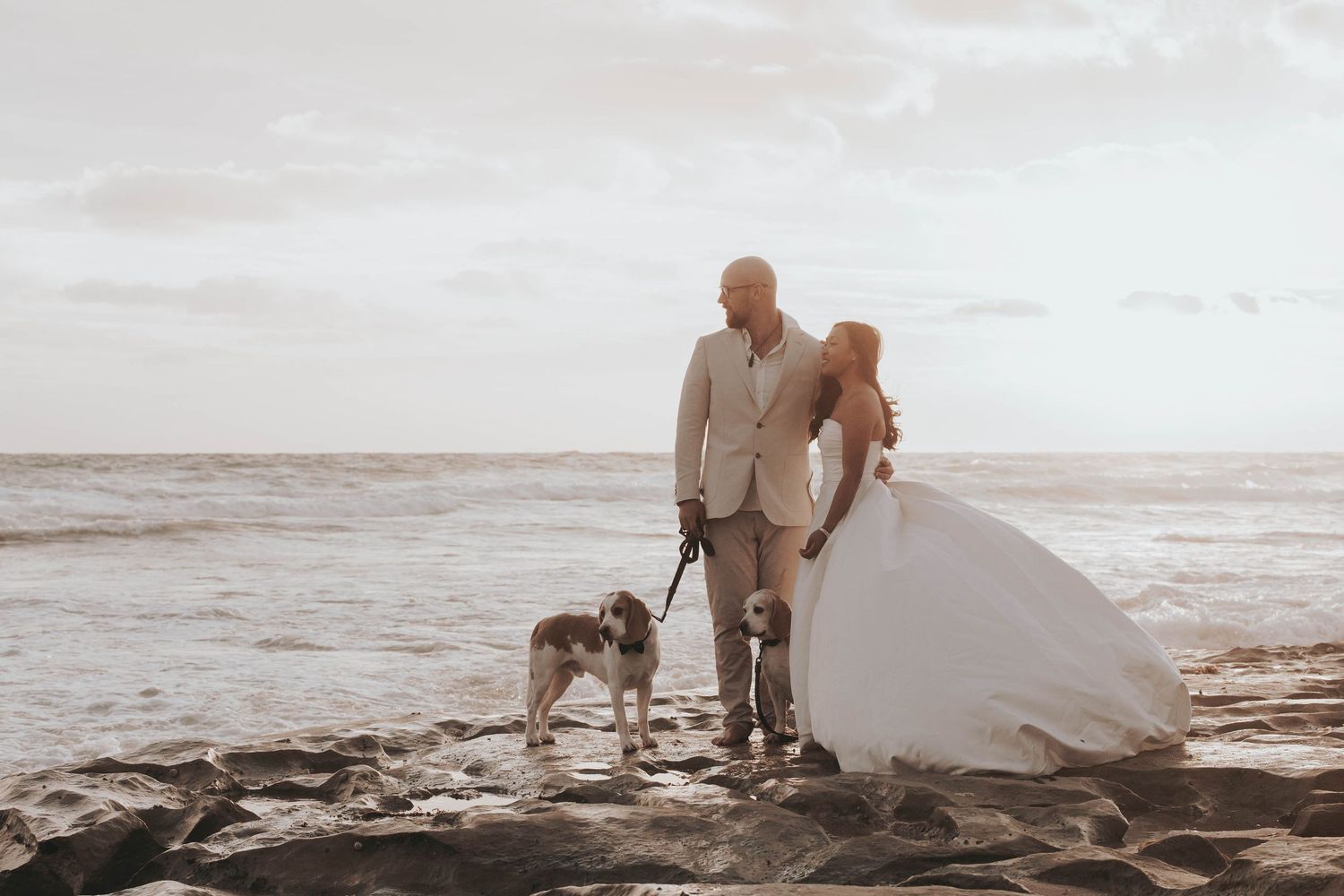 wife husband and their dogs enjoying the view