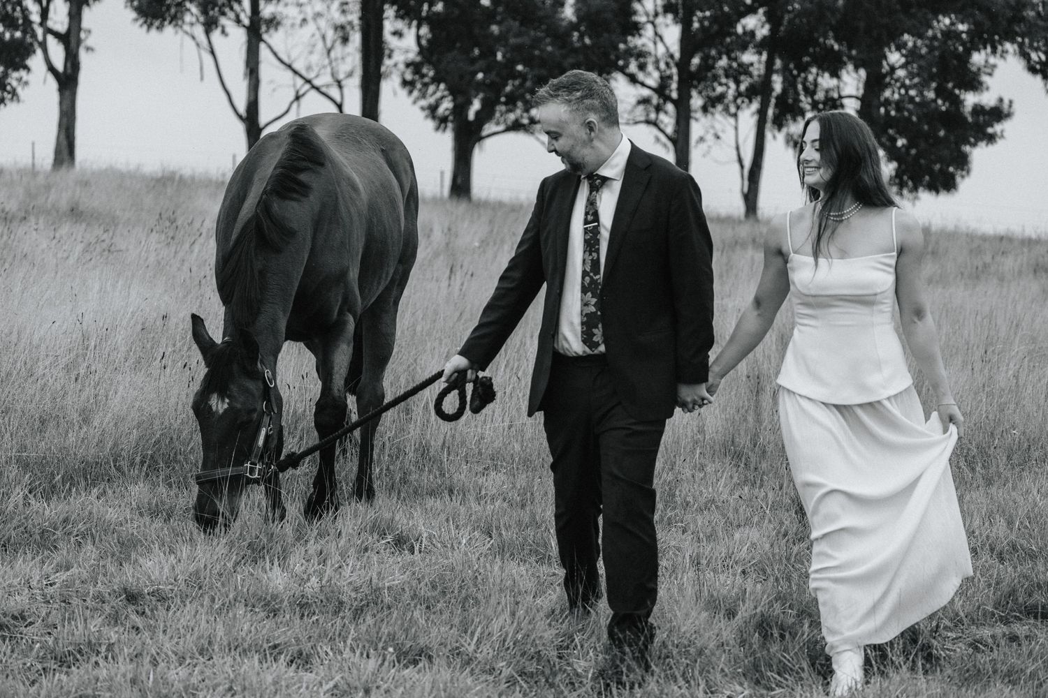 wedding and horses