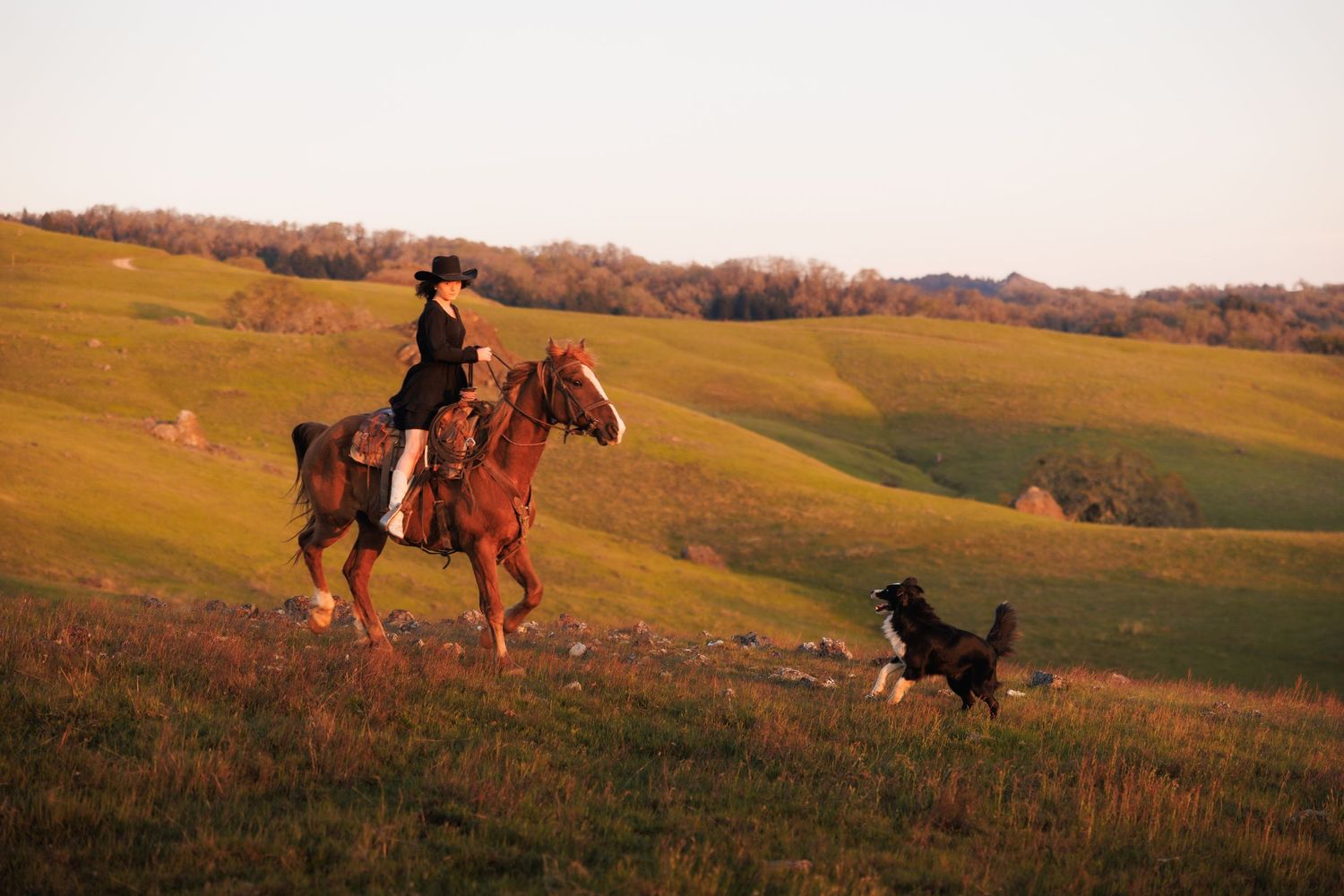 High school senior riding a horse across a countryside field during a golden-hour western portrait session.