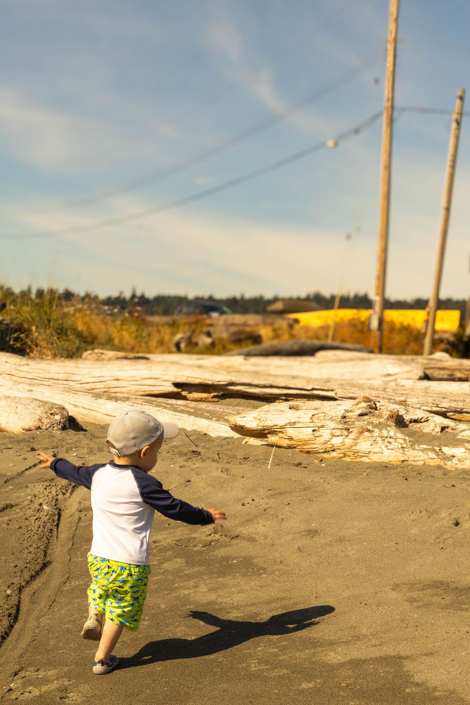 Toddler boy in cap and shark shorts walking on sandy beach toward driftwood logs.