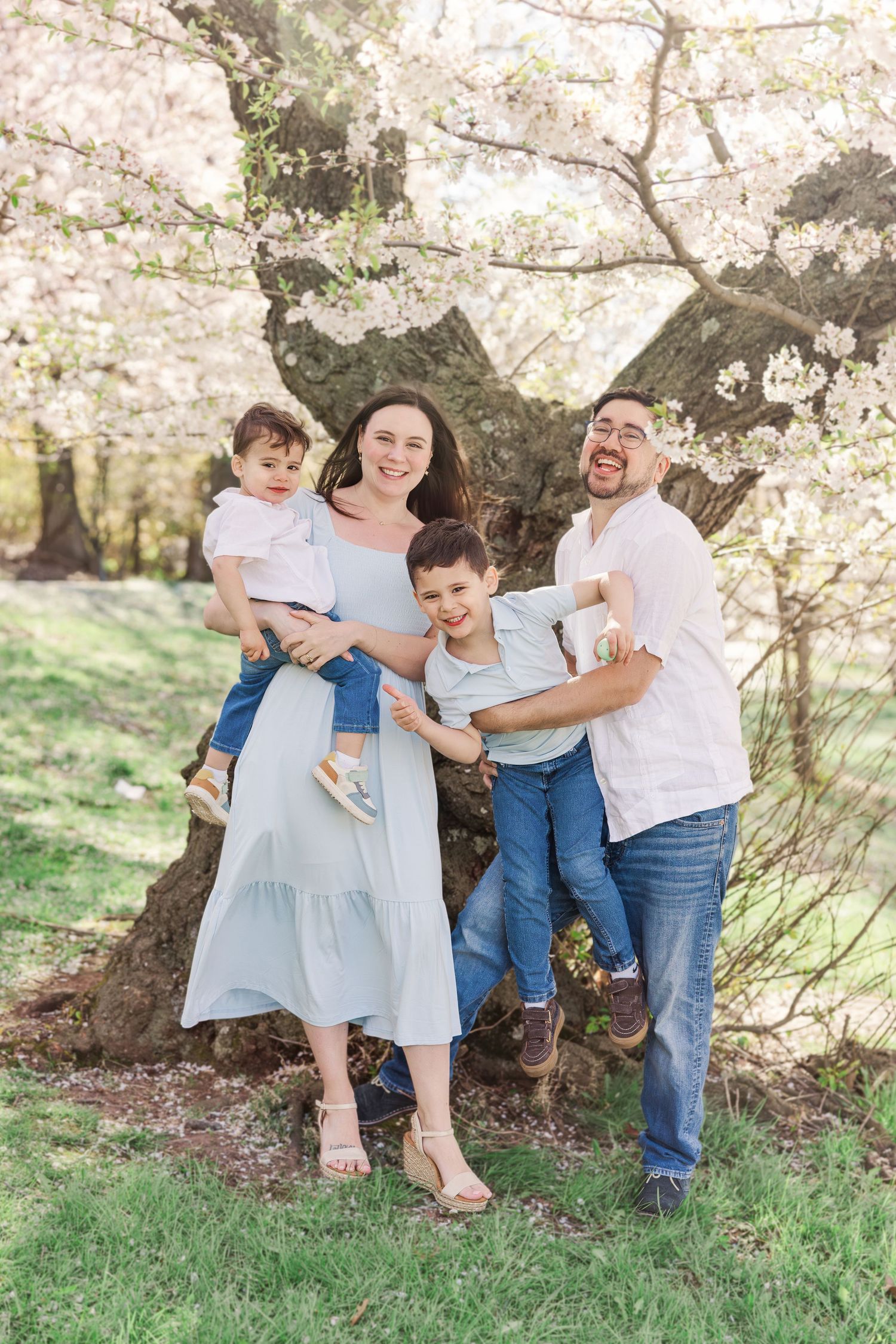 A joyful family of four poses under blooming cherry blossom trees in a sunny park.