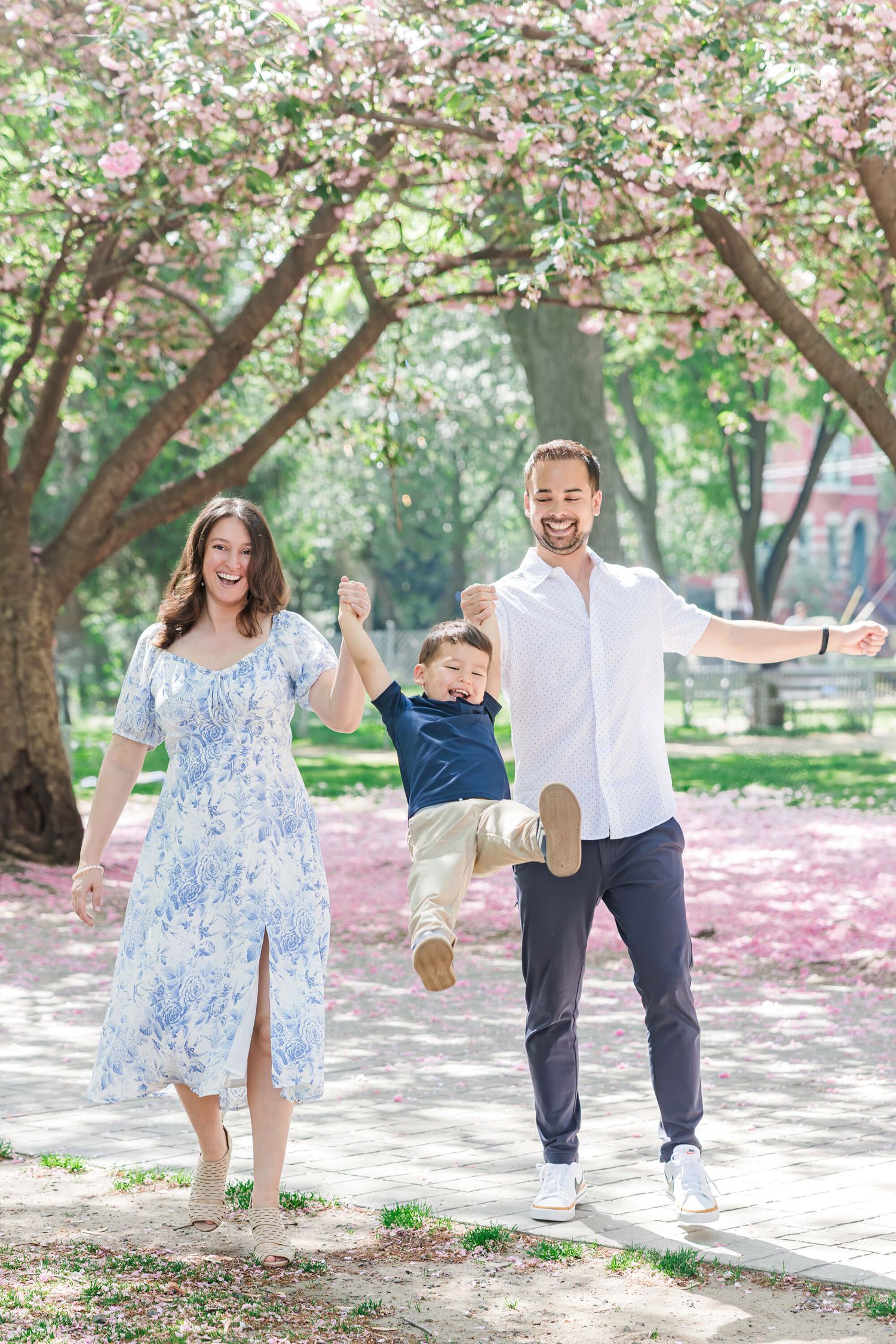 A joyful family swings their toddler between them under blooming pink cherry blossom trees in a park.