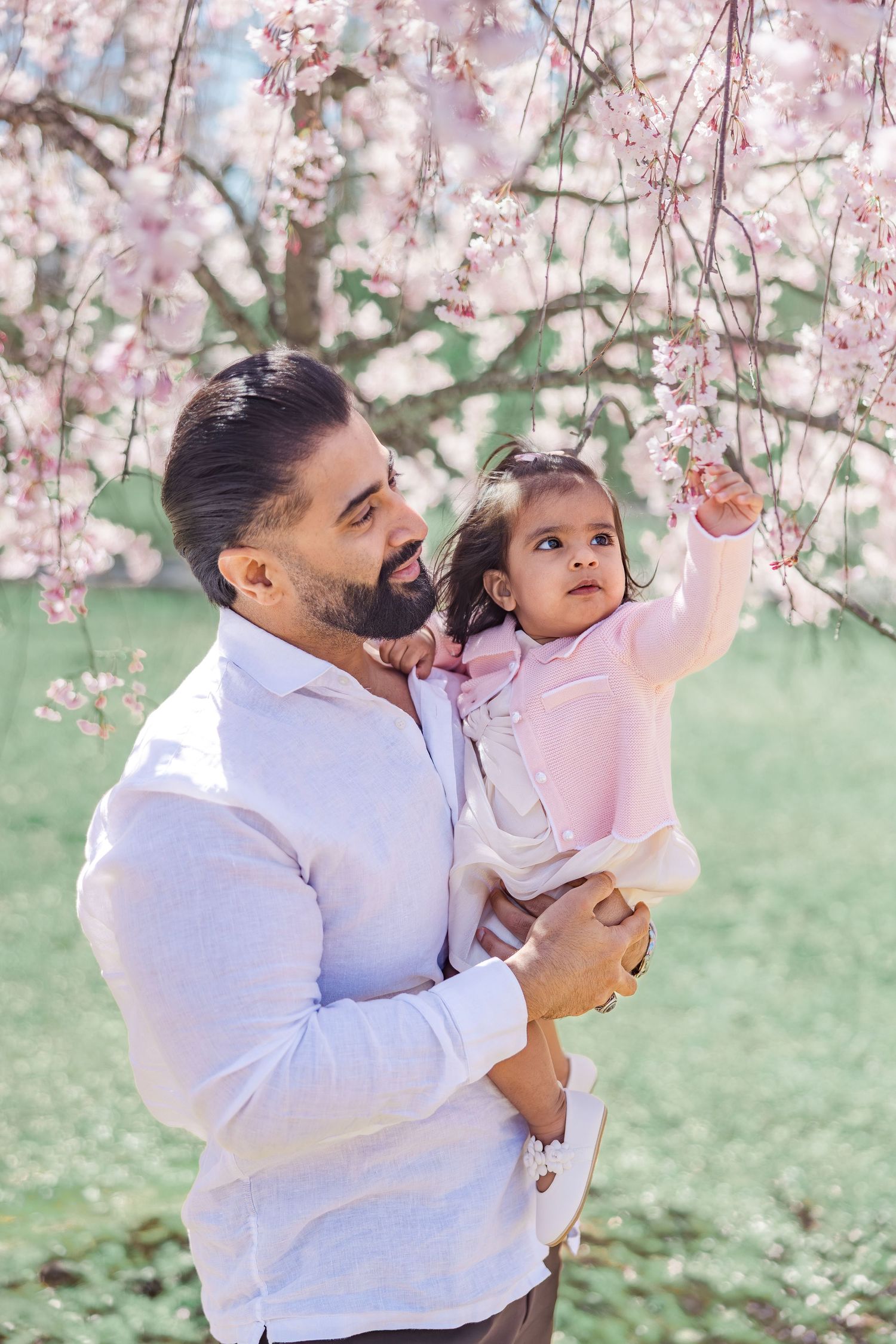 A bearded father holds his baby daughter near pink cherry blossom tree branches in spring.