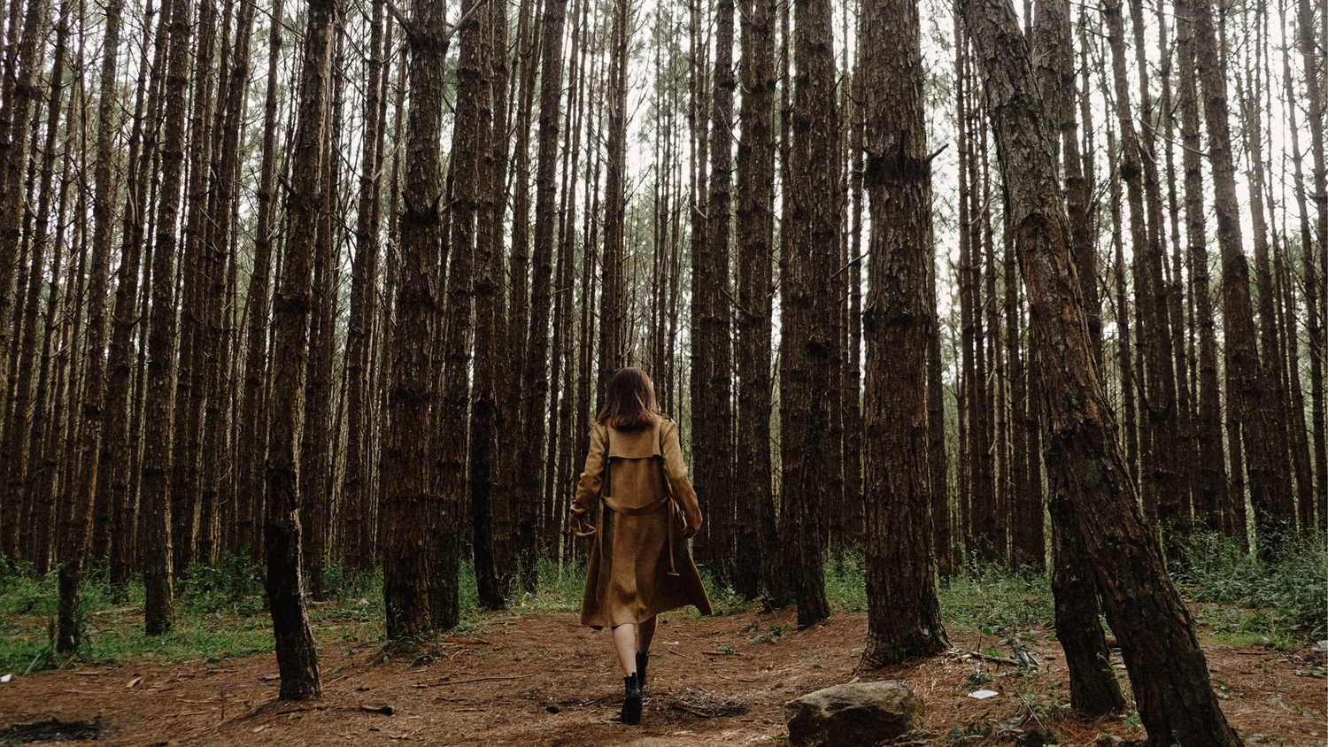 A woman in a yellow dress walks through a dense pine forest with tall, slender trees and a forest floor.