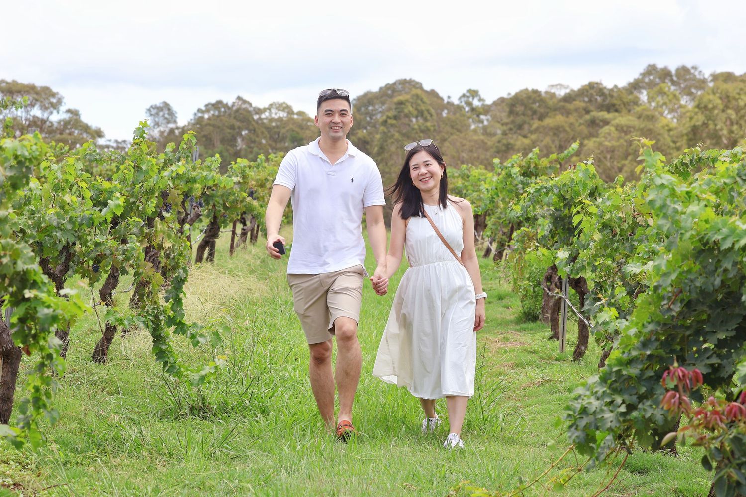 Couple walking hand in hand through lush green vineyard rows on a sunny day.