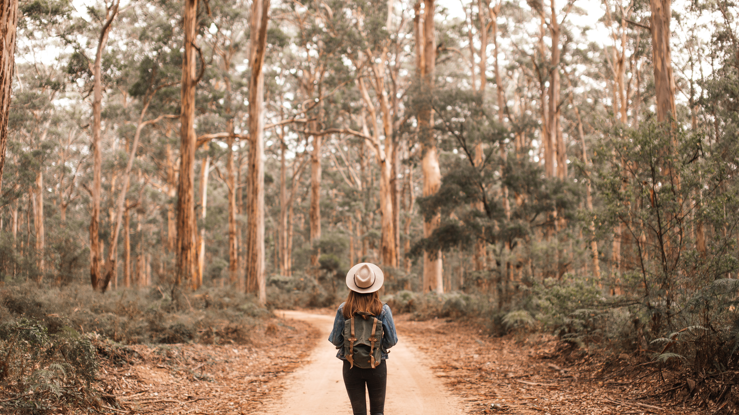 Woman with backpack and hat walking alone on a dirt trail through a tall eucalyptus forest.