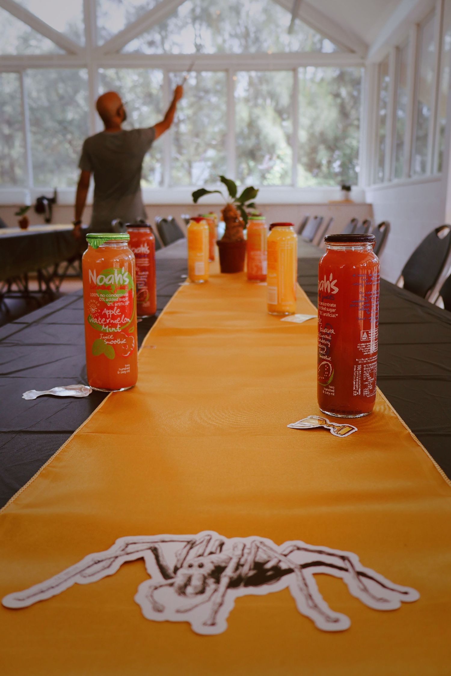 Harry Potter party table with yellow runner, Noah's juice drinks and spider decorations.